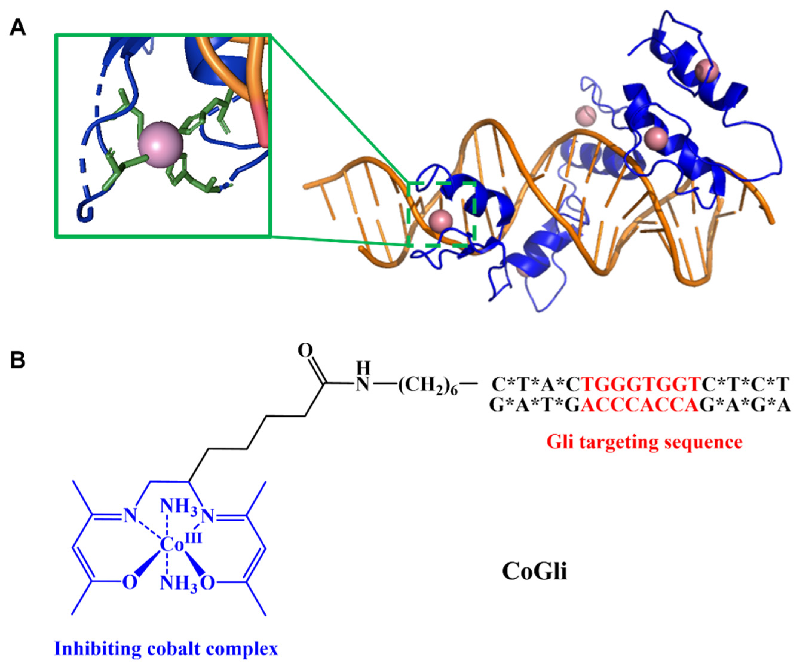 Biomedicines 10 02376 g006