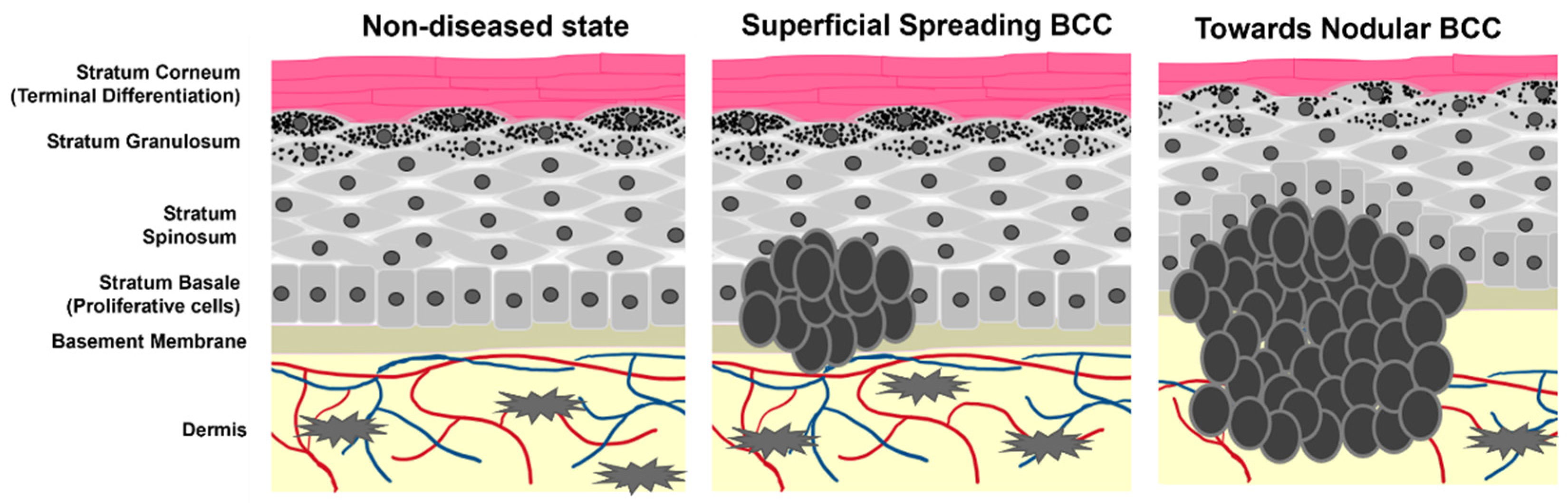 Biomedicines 10 02376 sch001