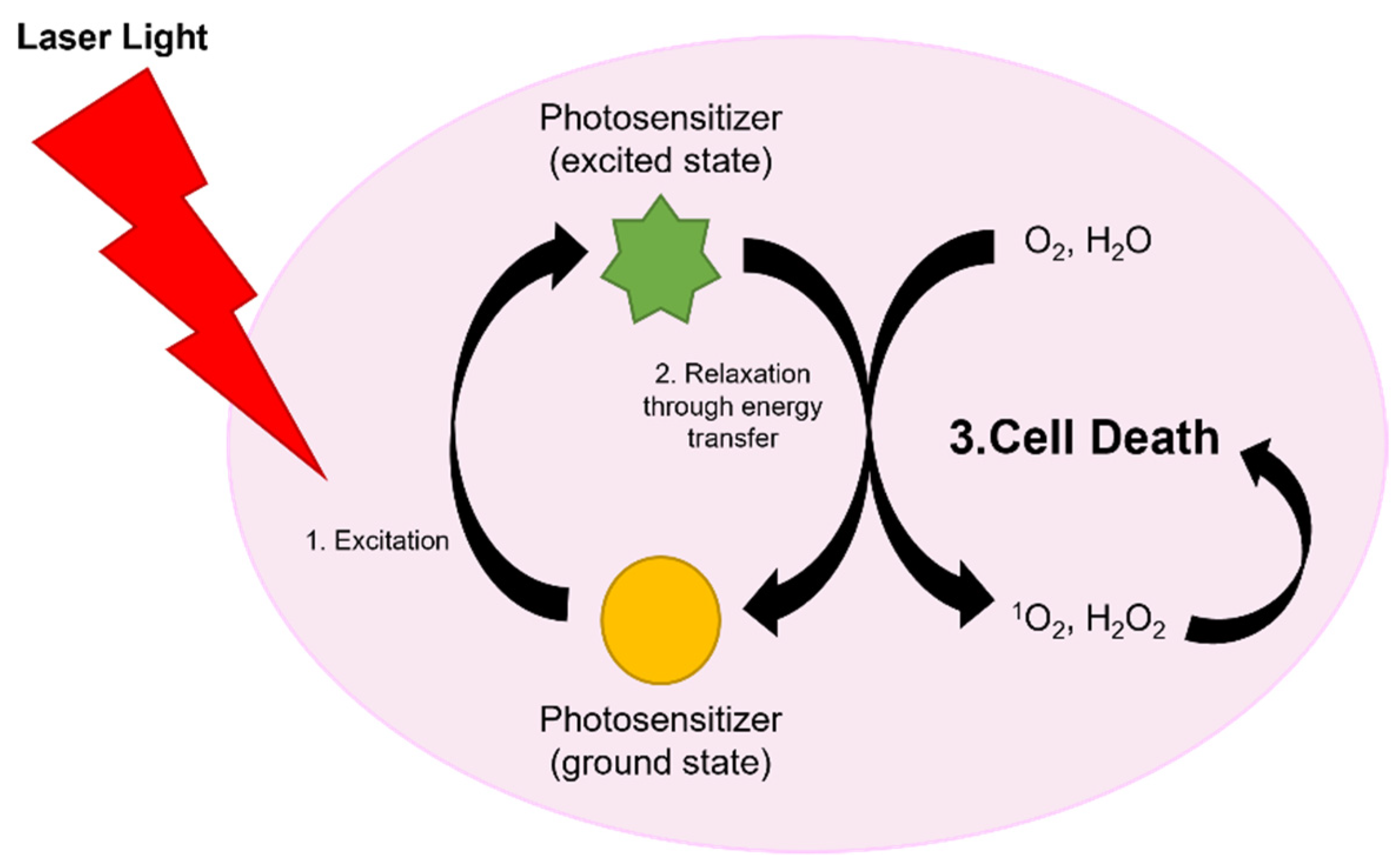 Biomedicines 10 02376 sch002