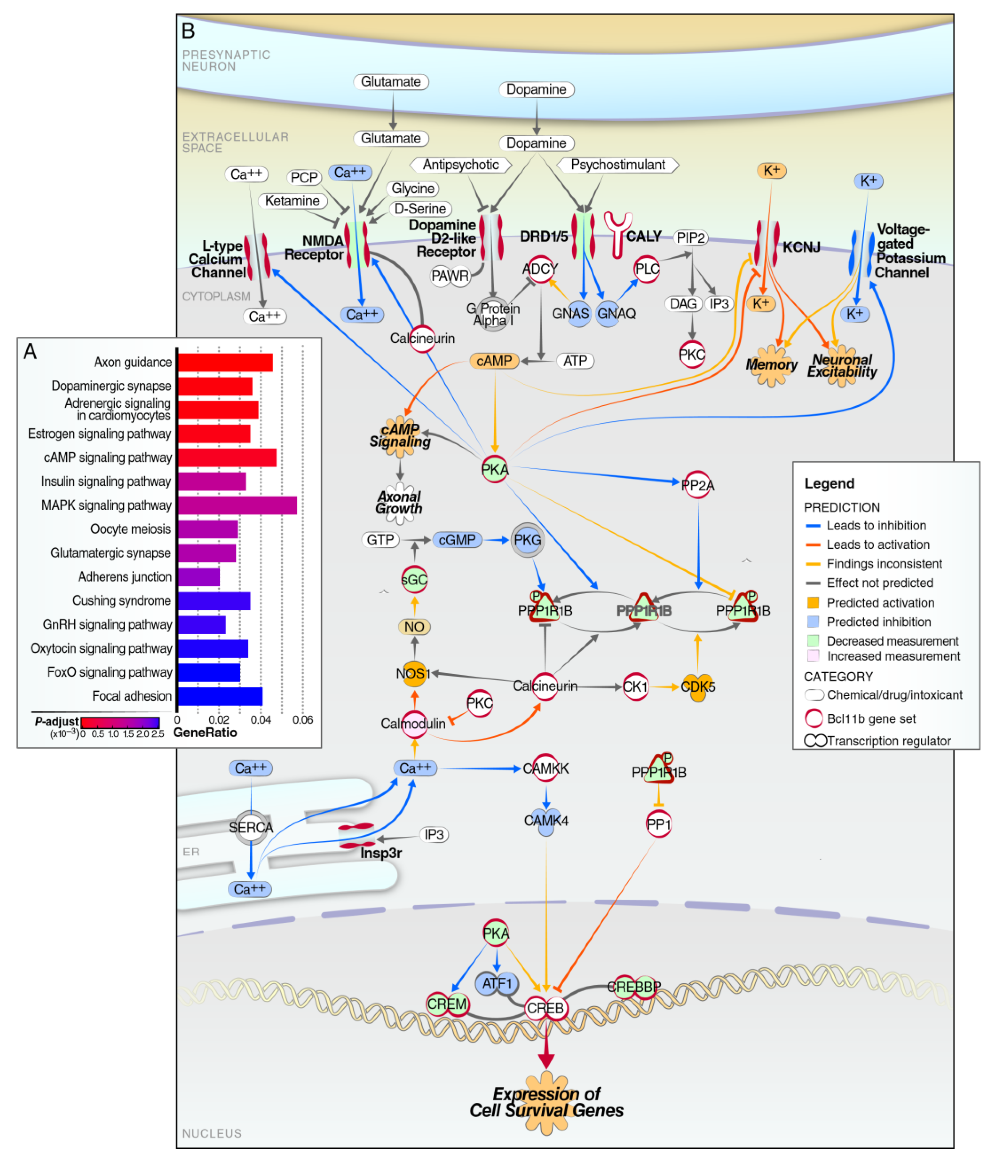 Biomedicines 10 02377 g003