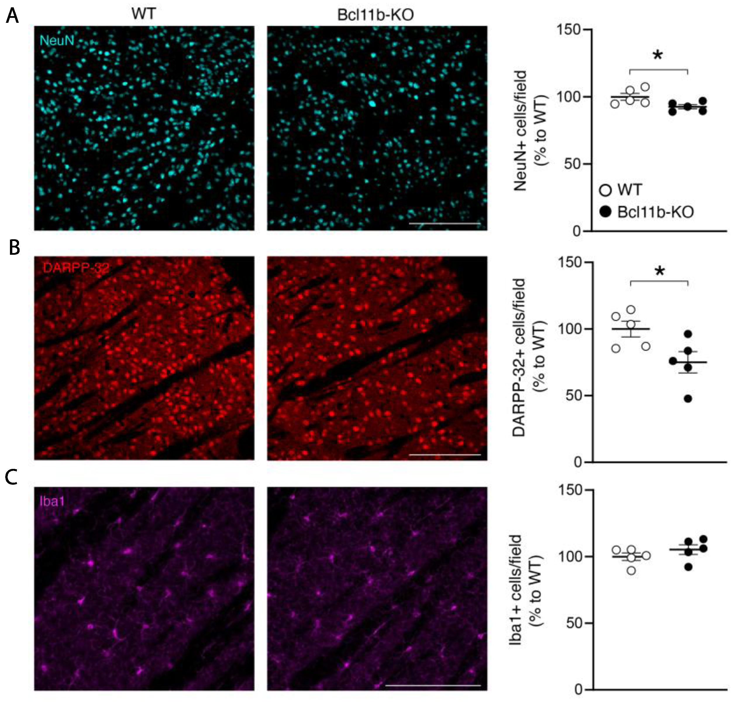 Biomedicines 10 02377 g005