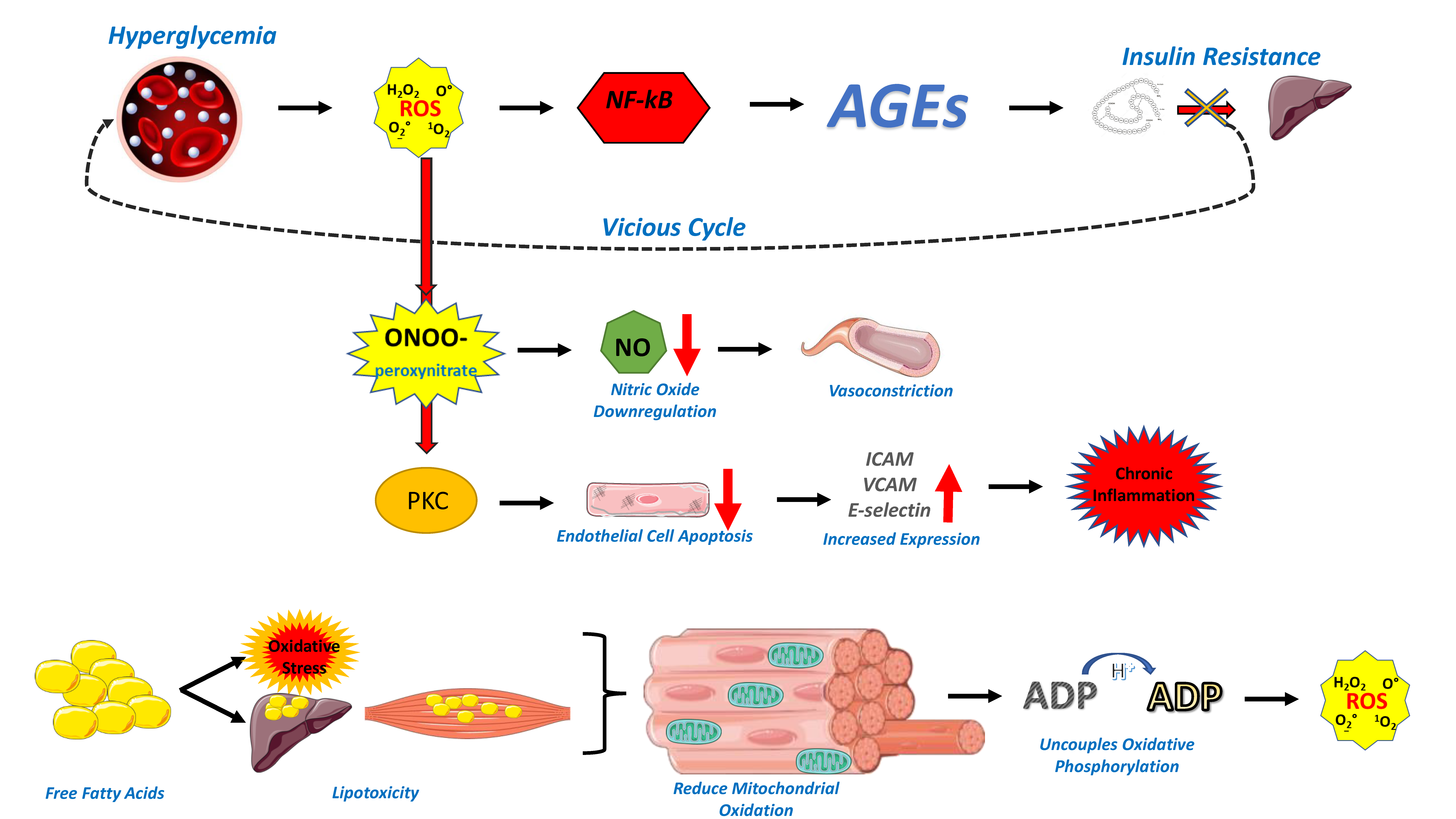 Biomedicines 10 02379 g001