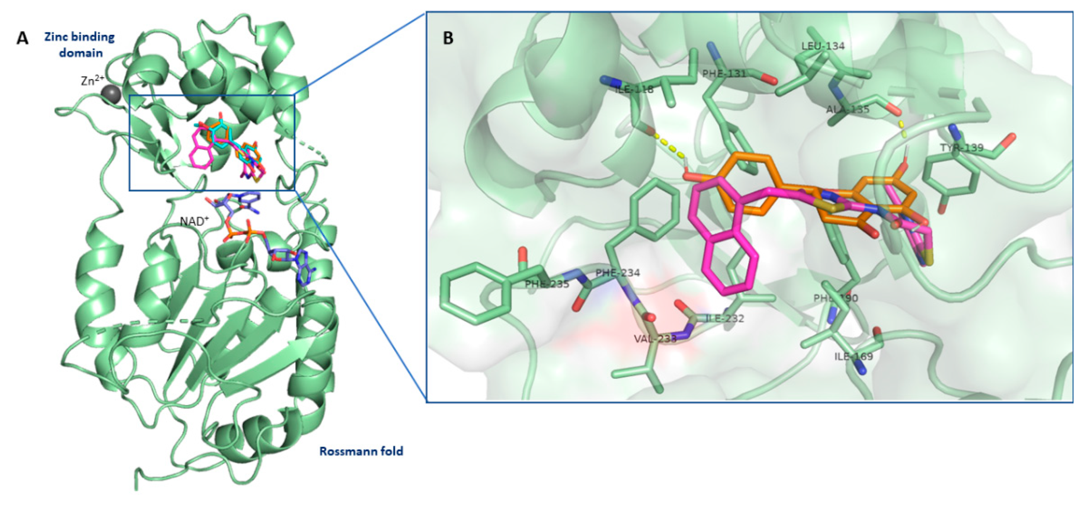 Biomedicines 10 02383 g009