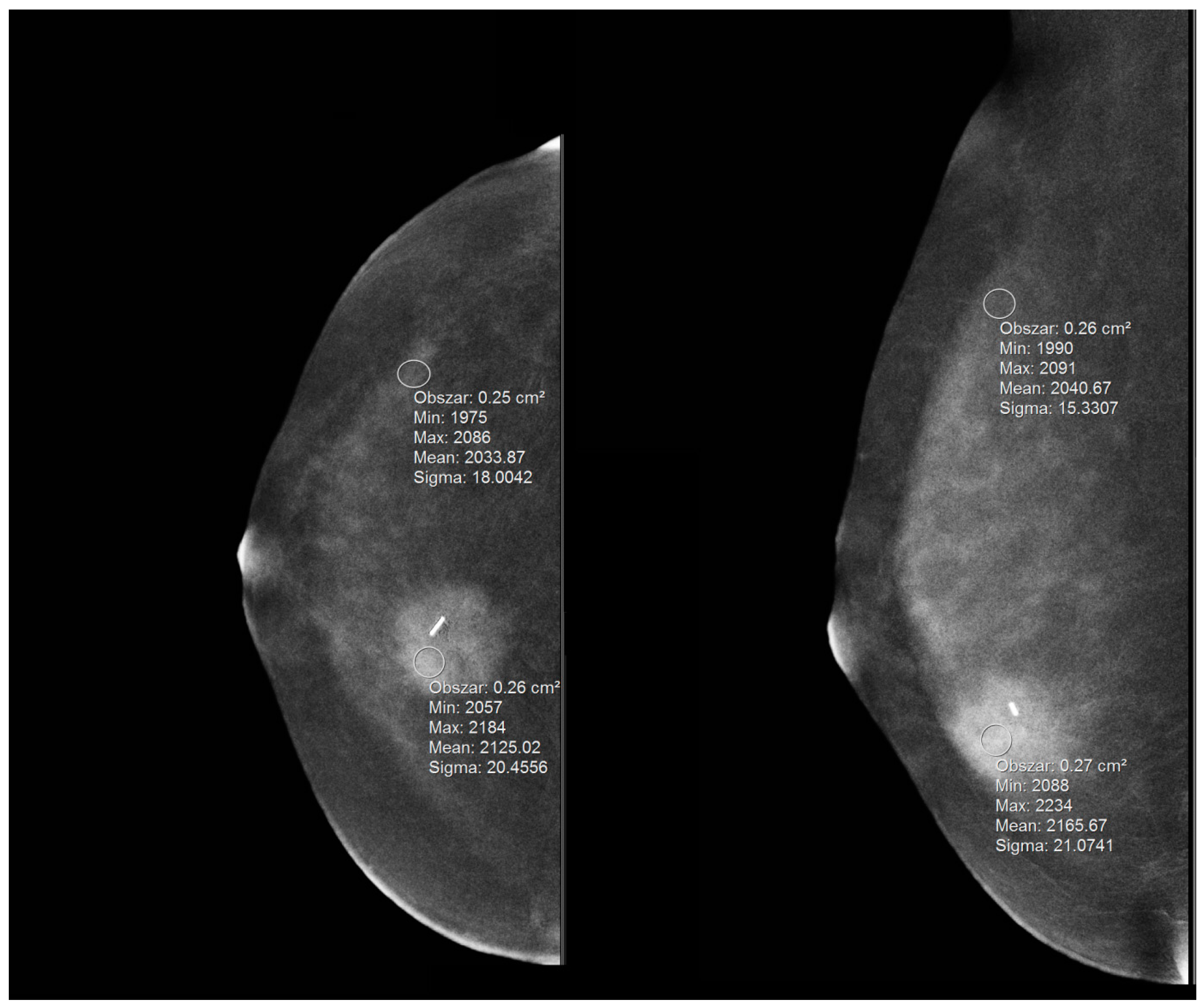 Biomedicines 10 02384 g003