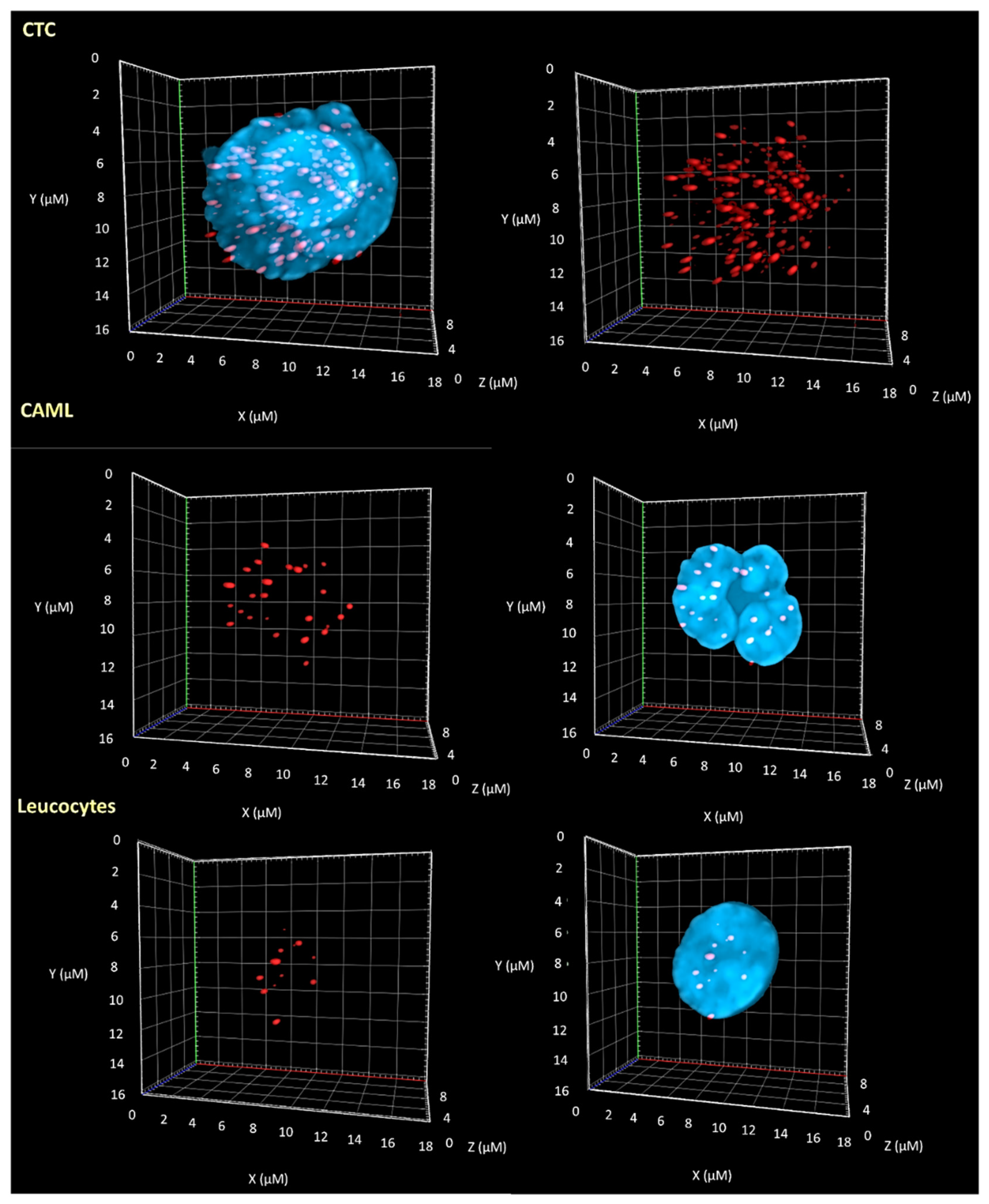 Biomedicines 10 02391 g003