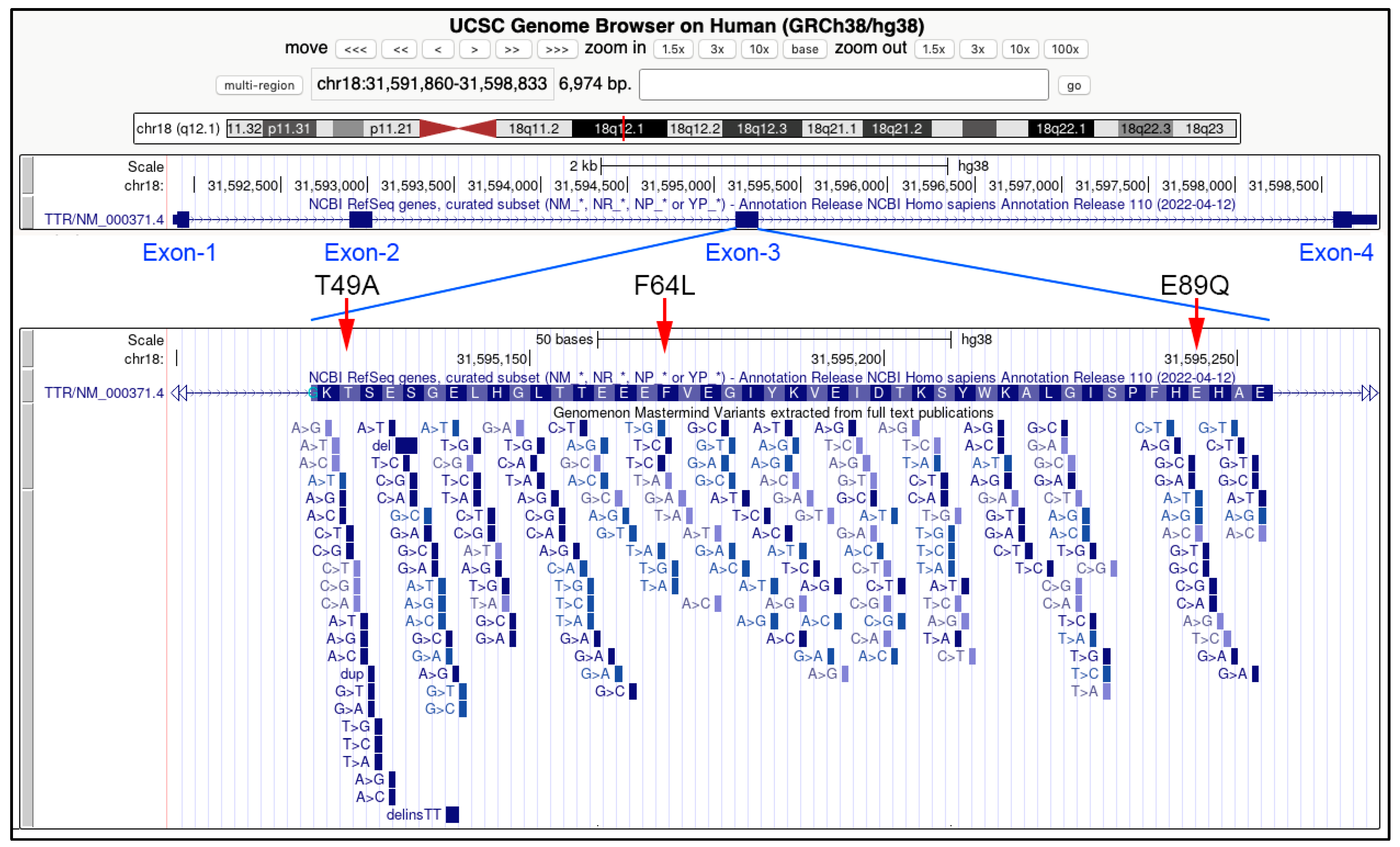 Biomedicines 10 02394 g003