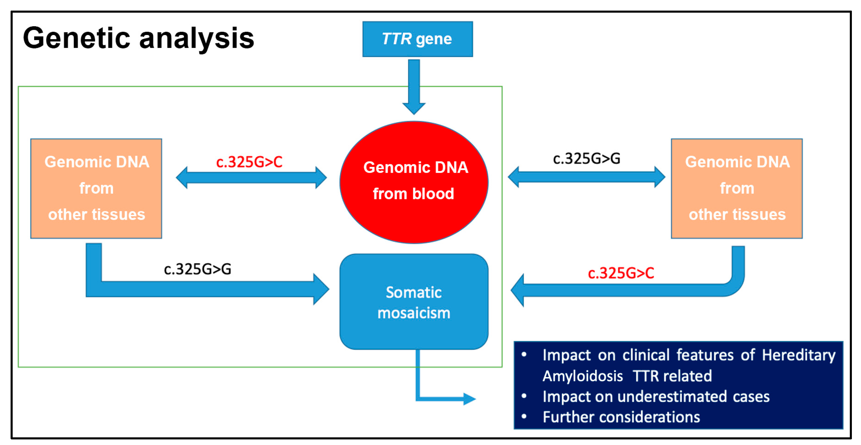 Biomedicines 10 02394 g004