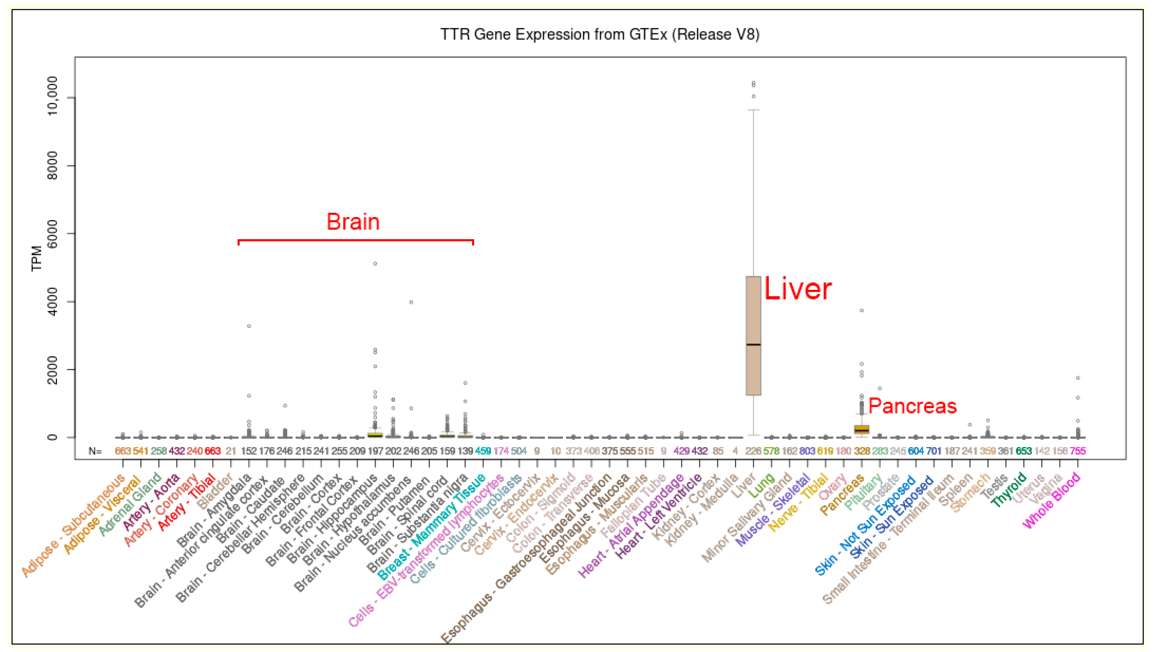 Biomedicines 10 02394 g005