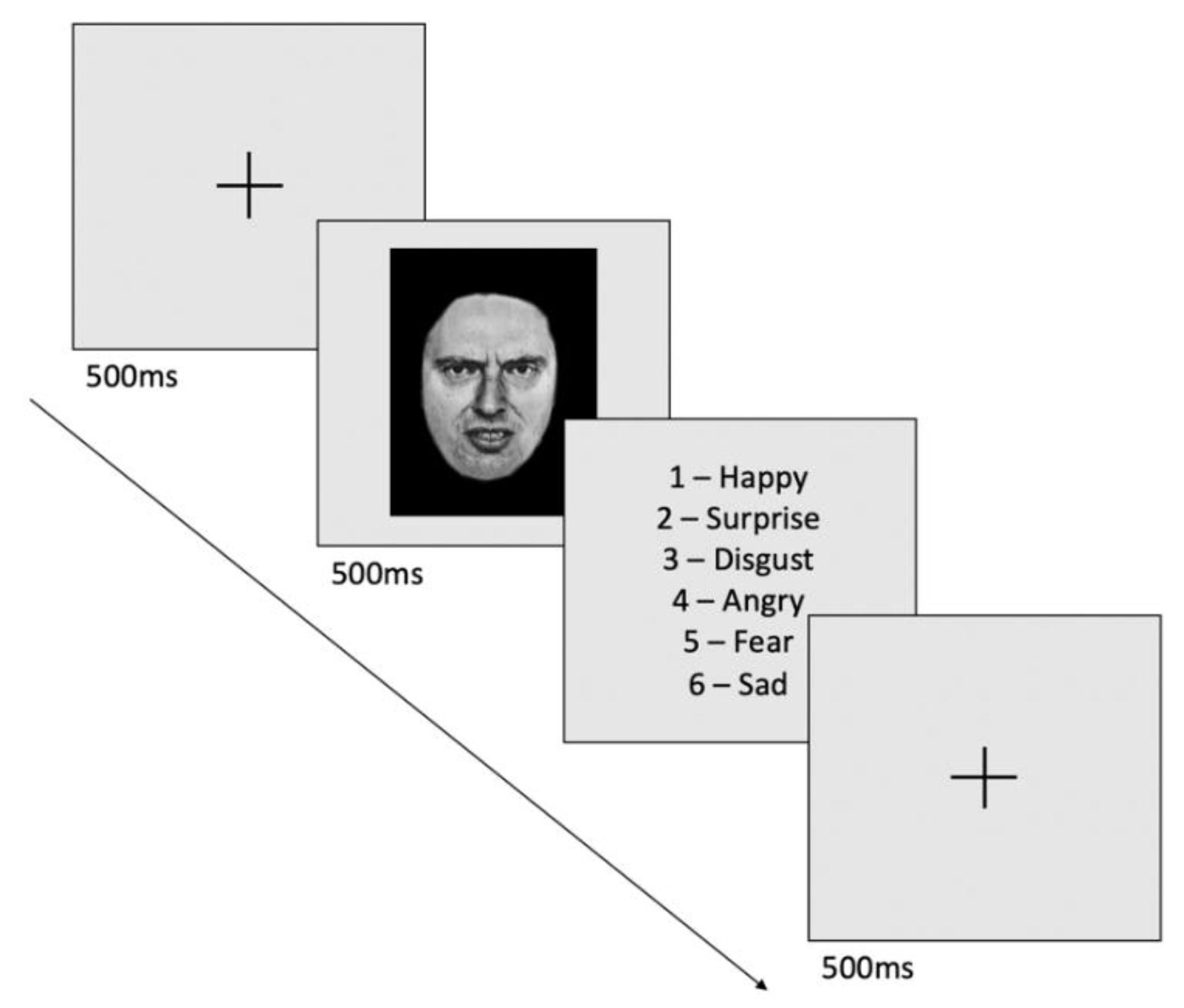 Biomedicines 10 02397 g001