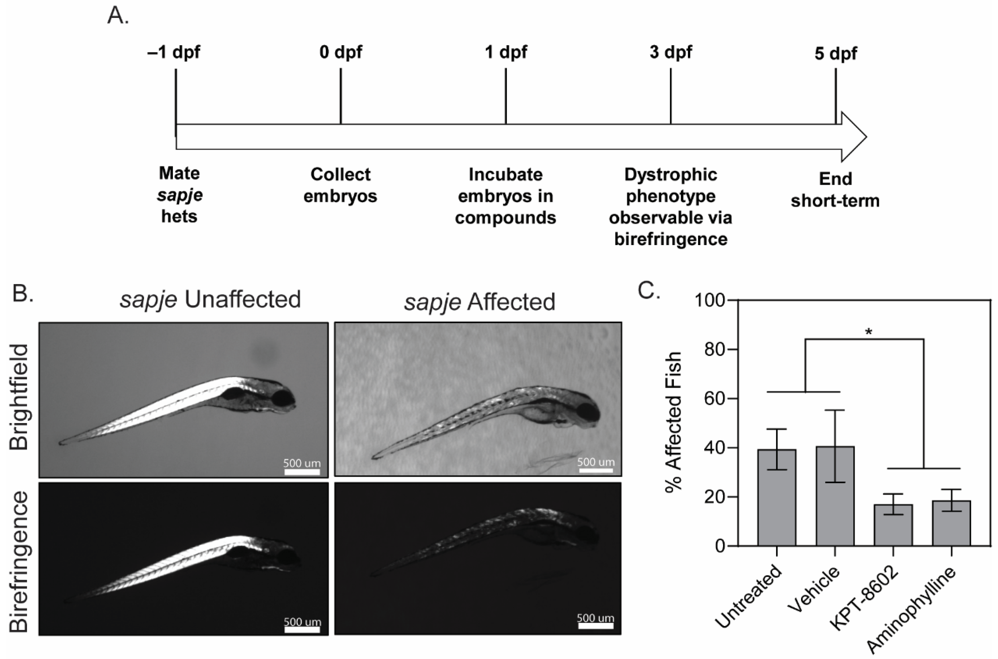 Biomedicines 10 02400 g001
