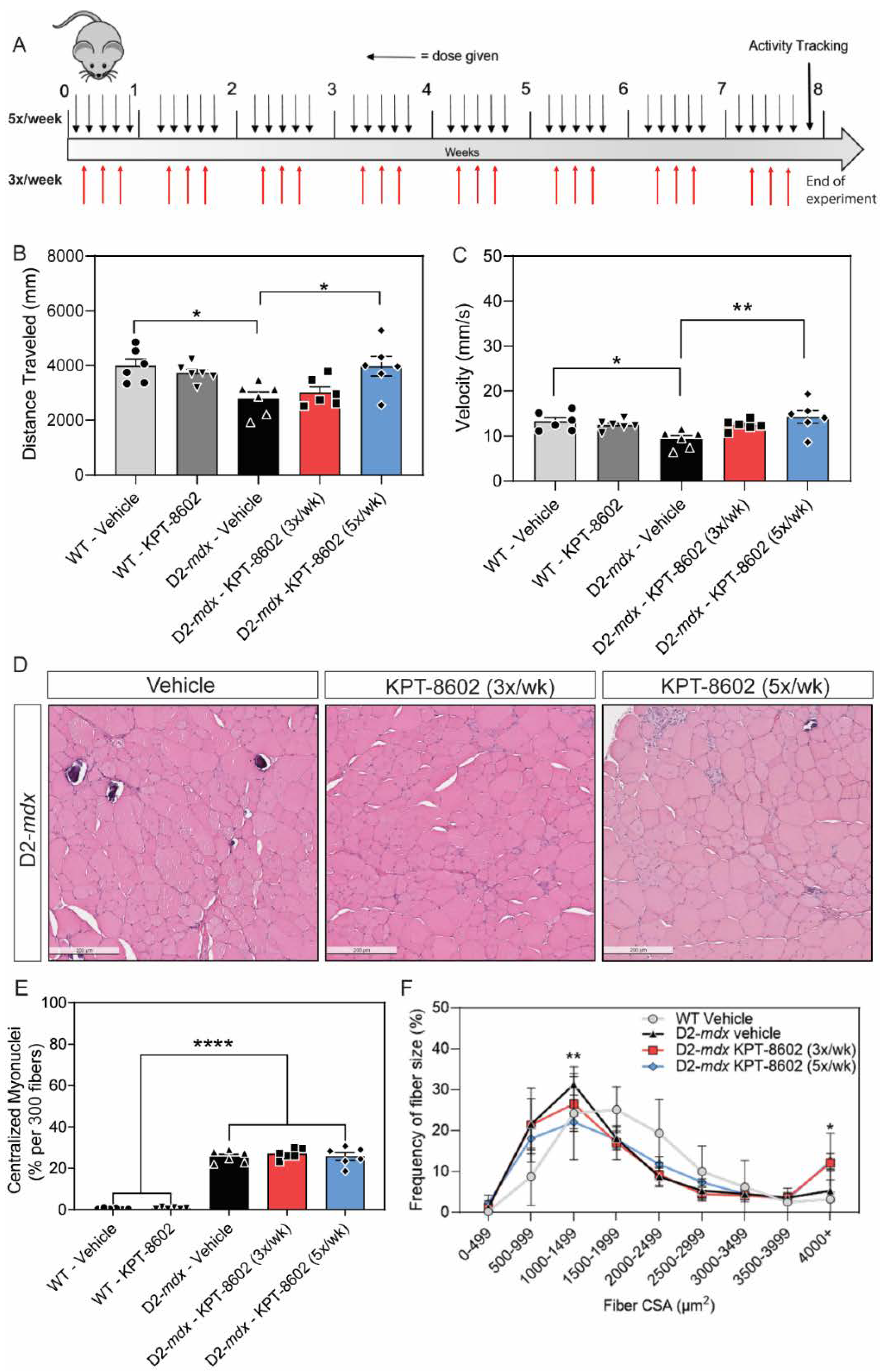 Biomedicines 10 02400 g002