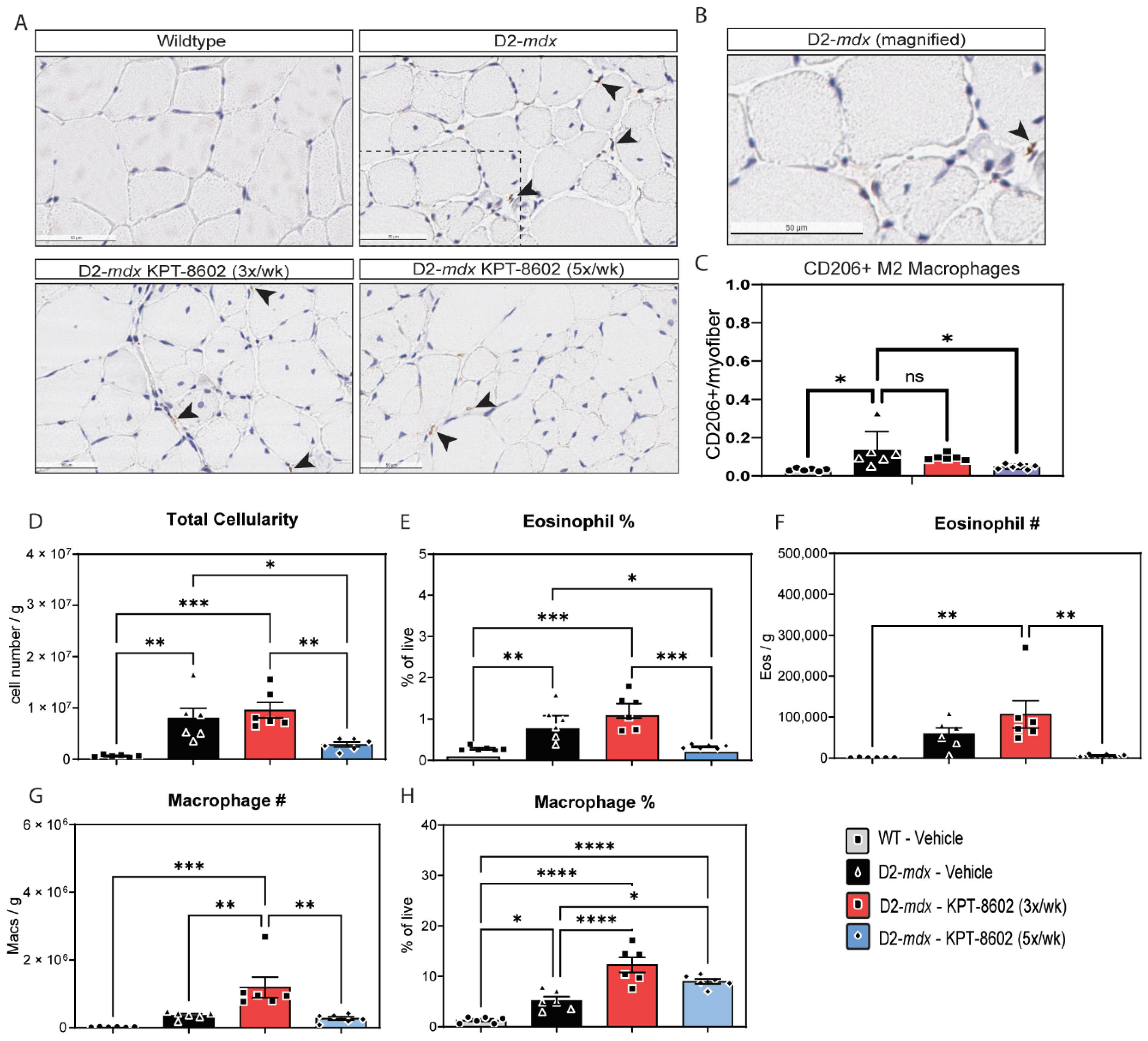 Biomedicines 10 02400 g003