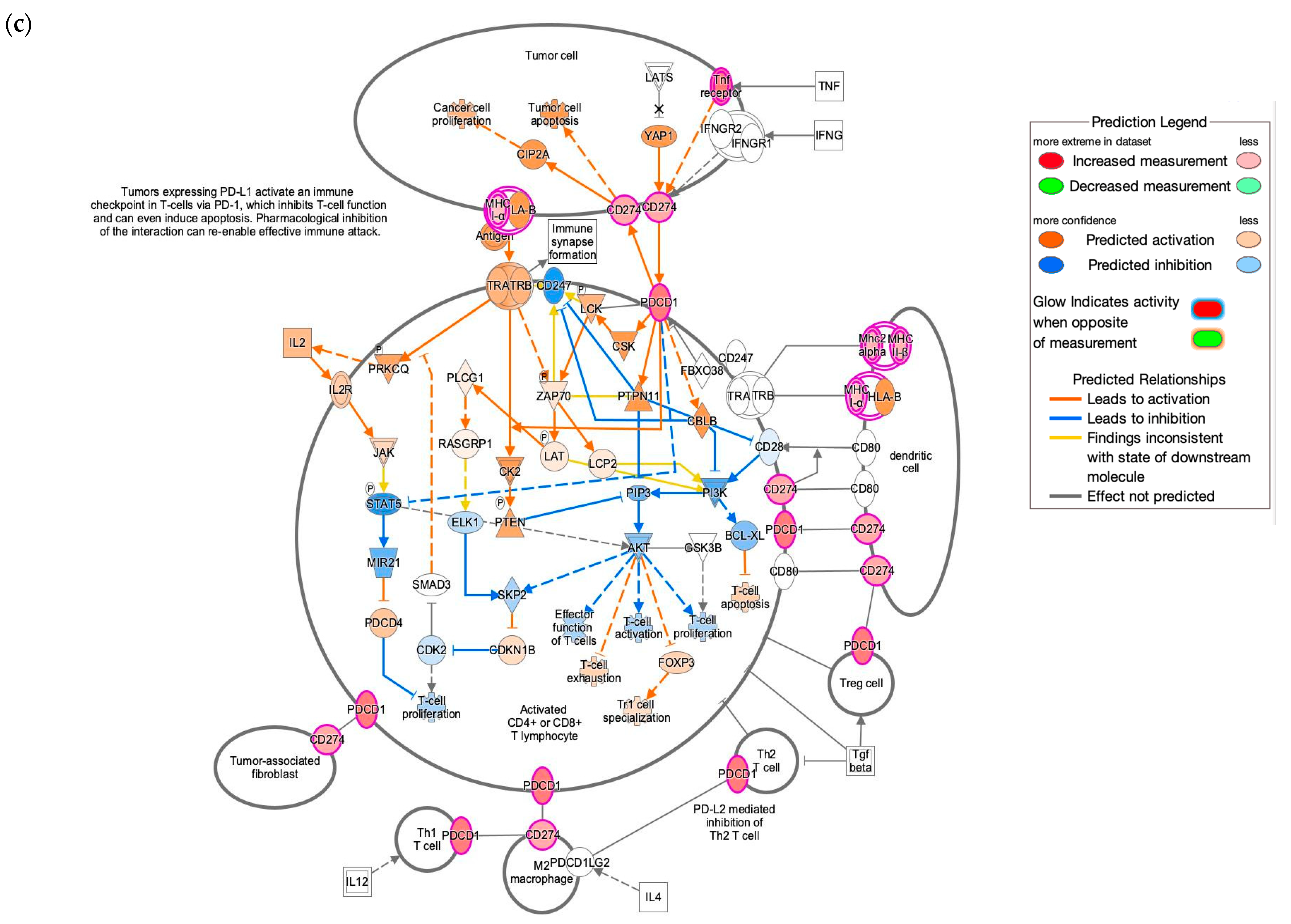 Biomedicines 10 02419 g005b