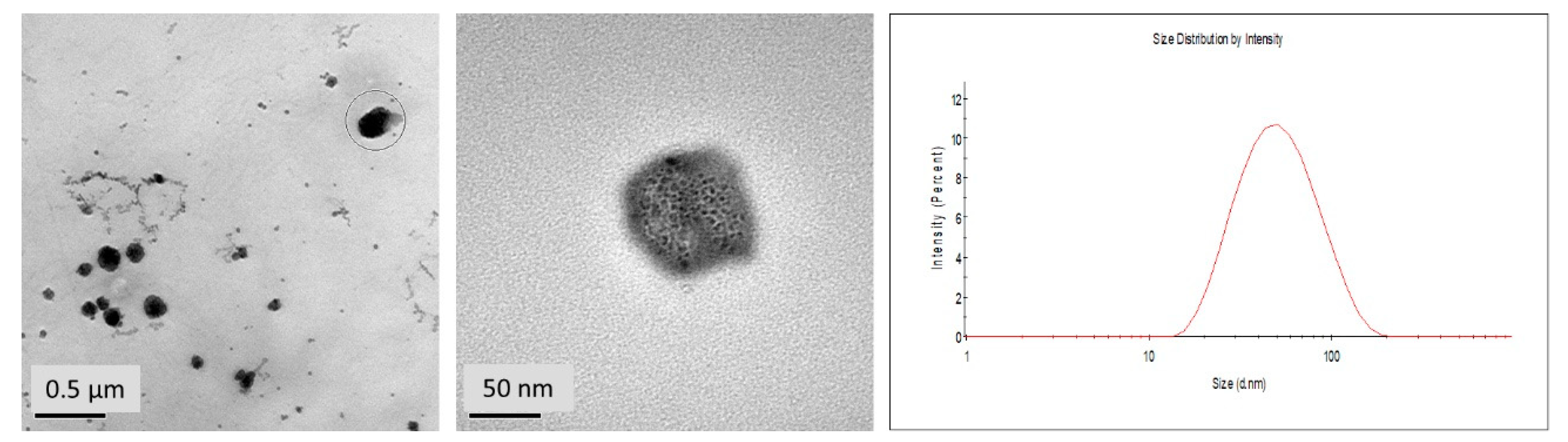 Biomedicines 10 02431 g002 550