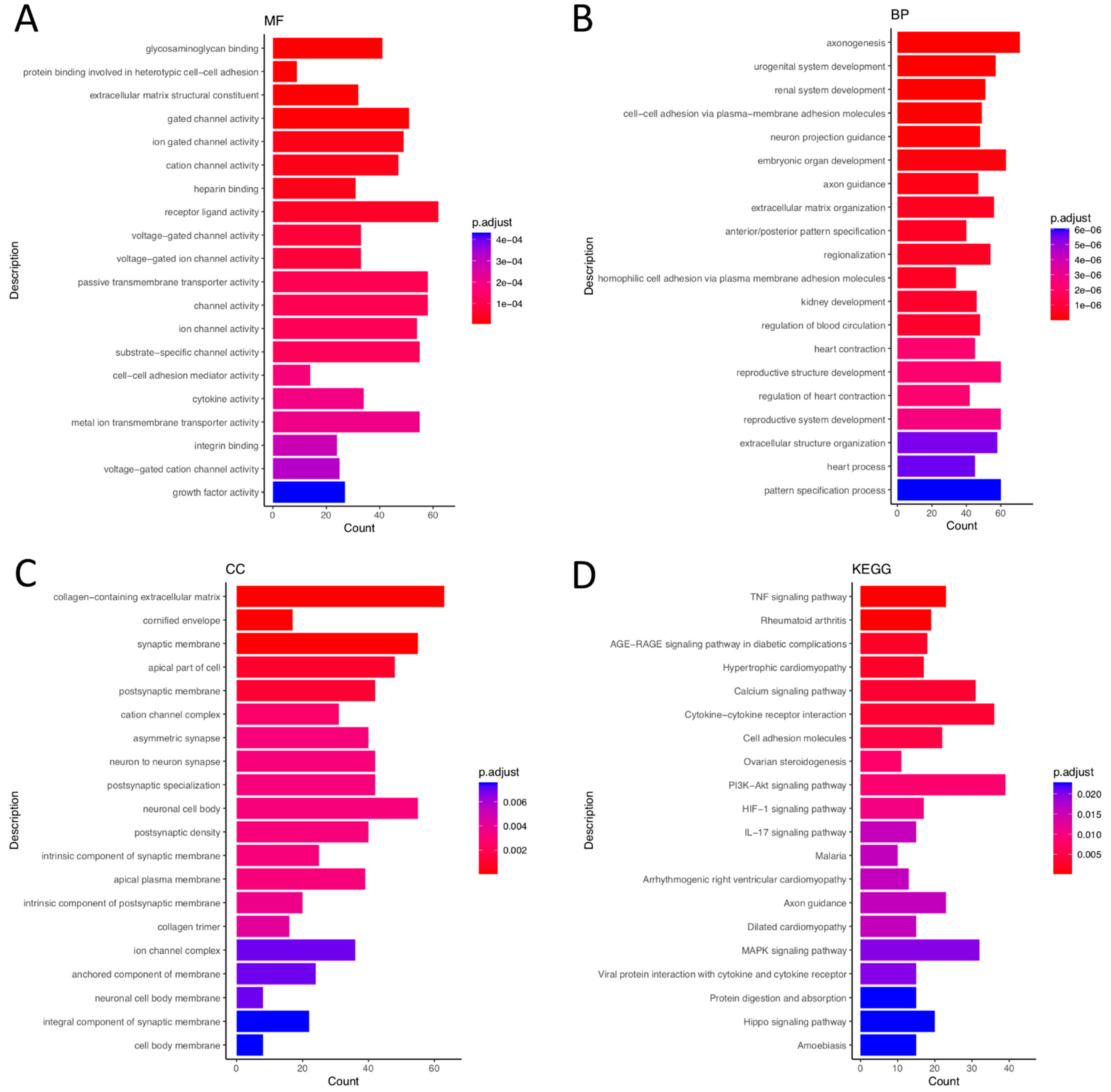 Biomedicines 10 02432 g001 Biomedicines 10 02432 g001