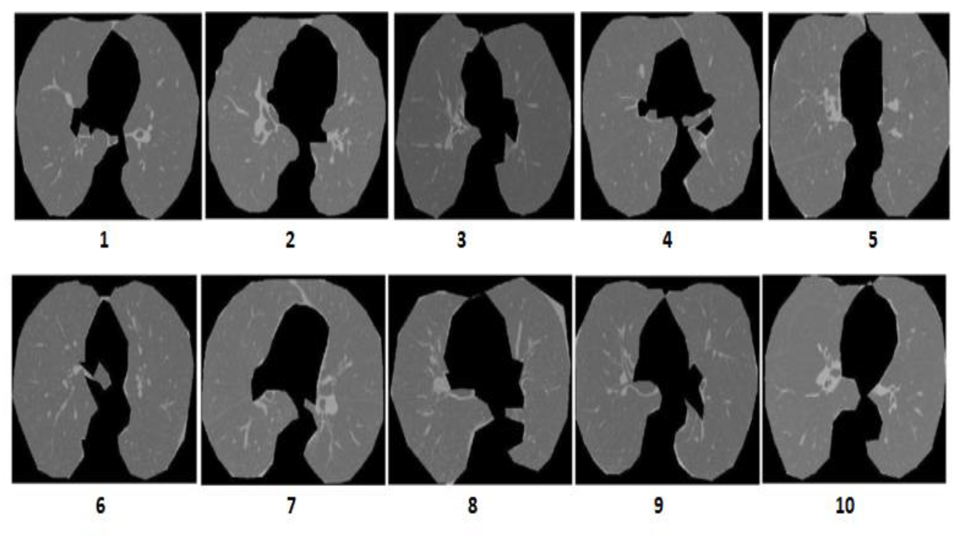 Biomedicines 10 02438 g008 Biomedicines 10 02438 g008