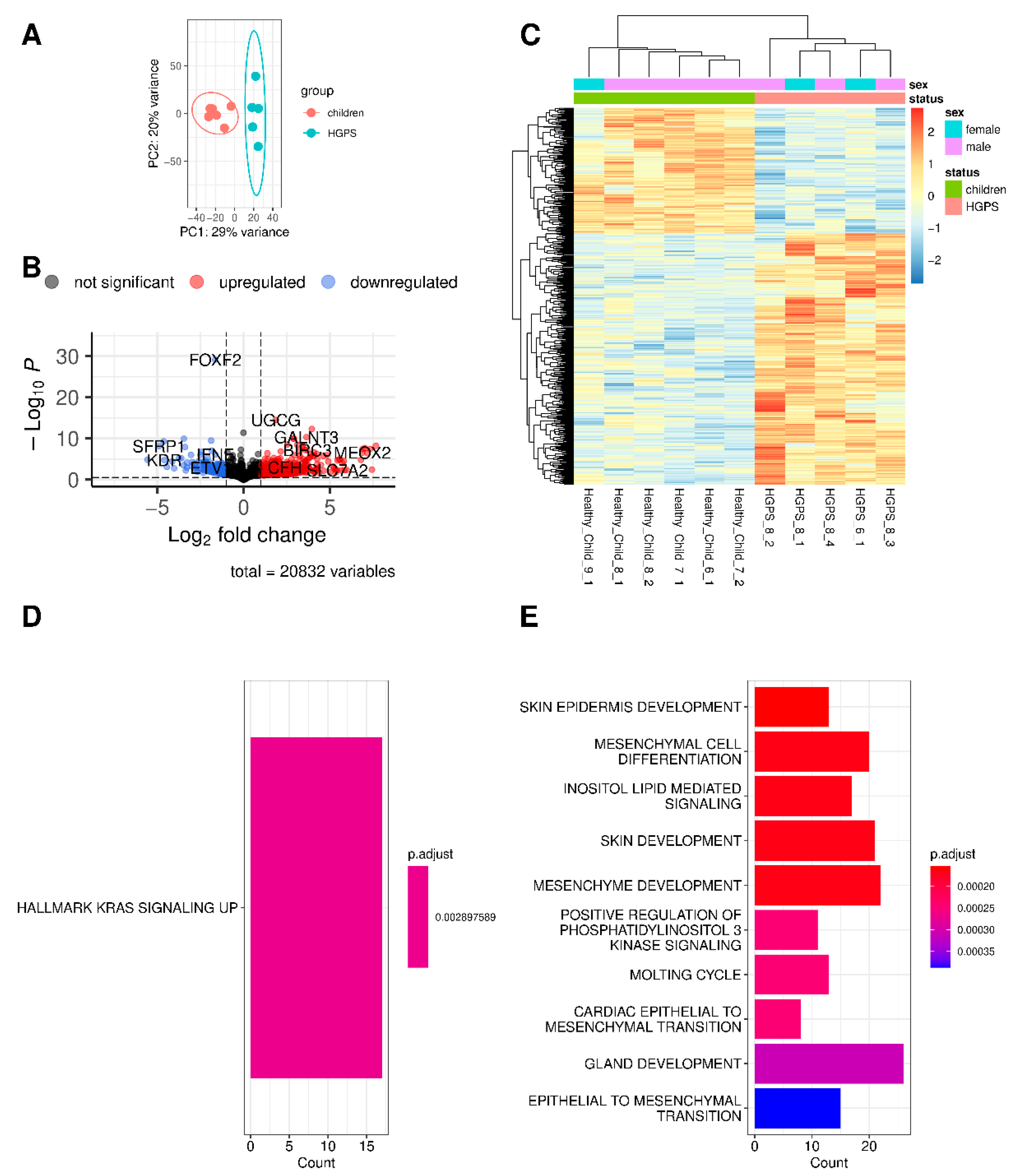 Biomedicines 10 02440 g001