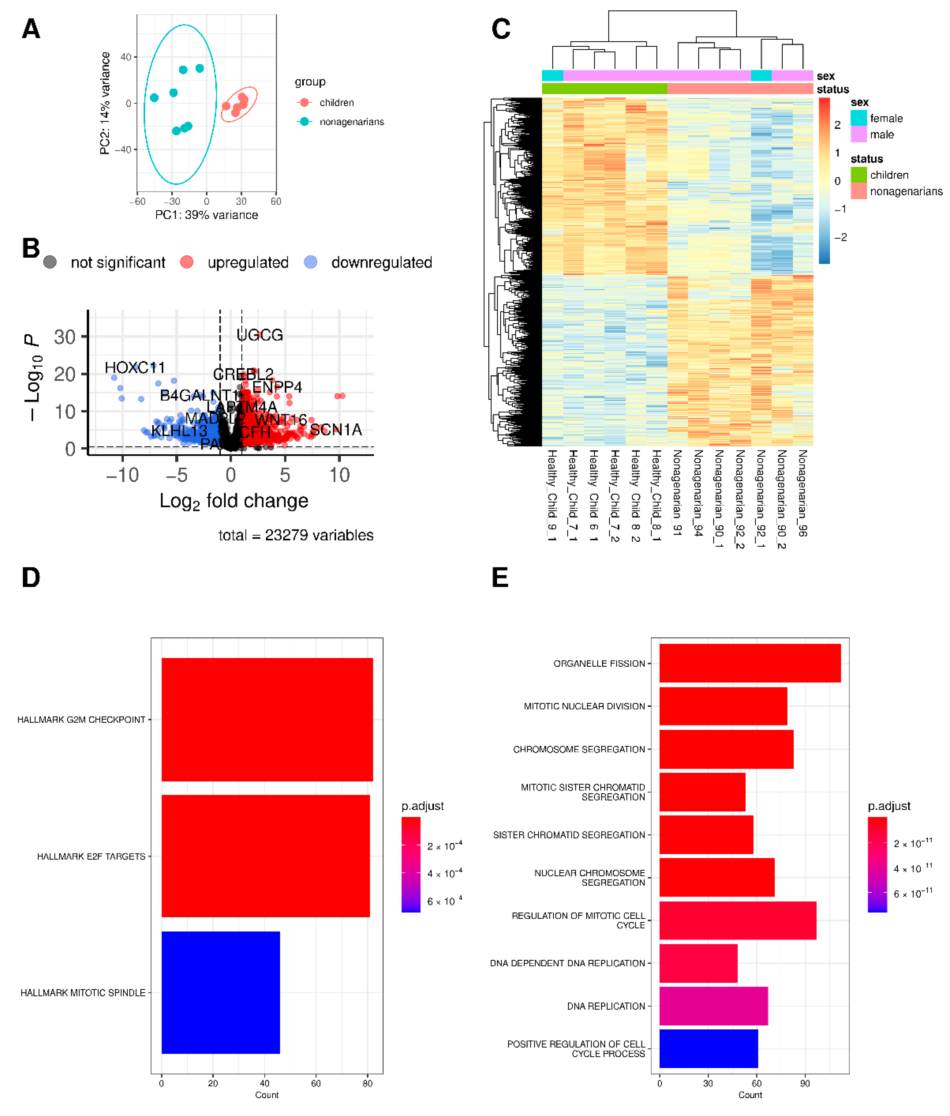 Biomedicines 10 02440 g002