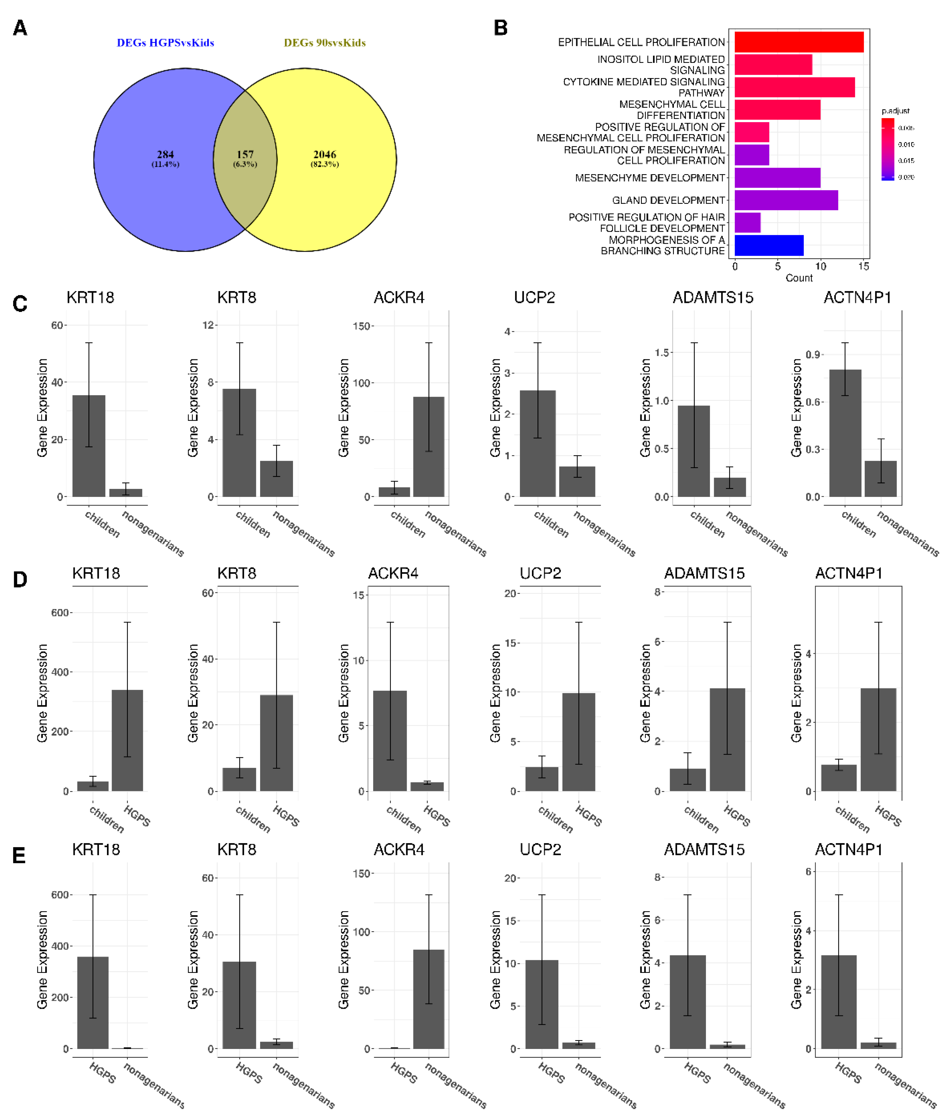 Biomedicines 10 02440 g003