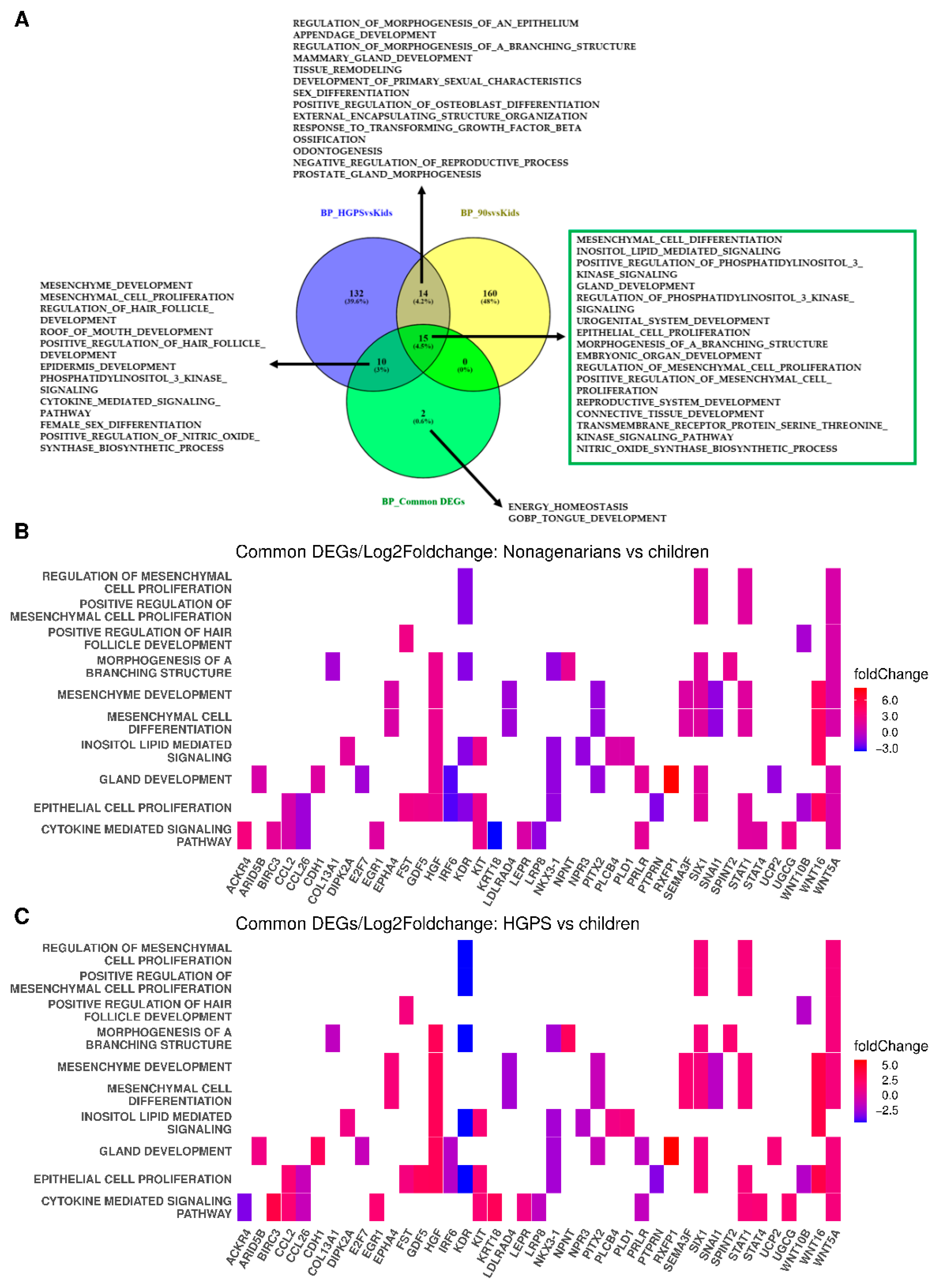 Biomedicines 10 02440 g005