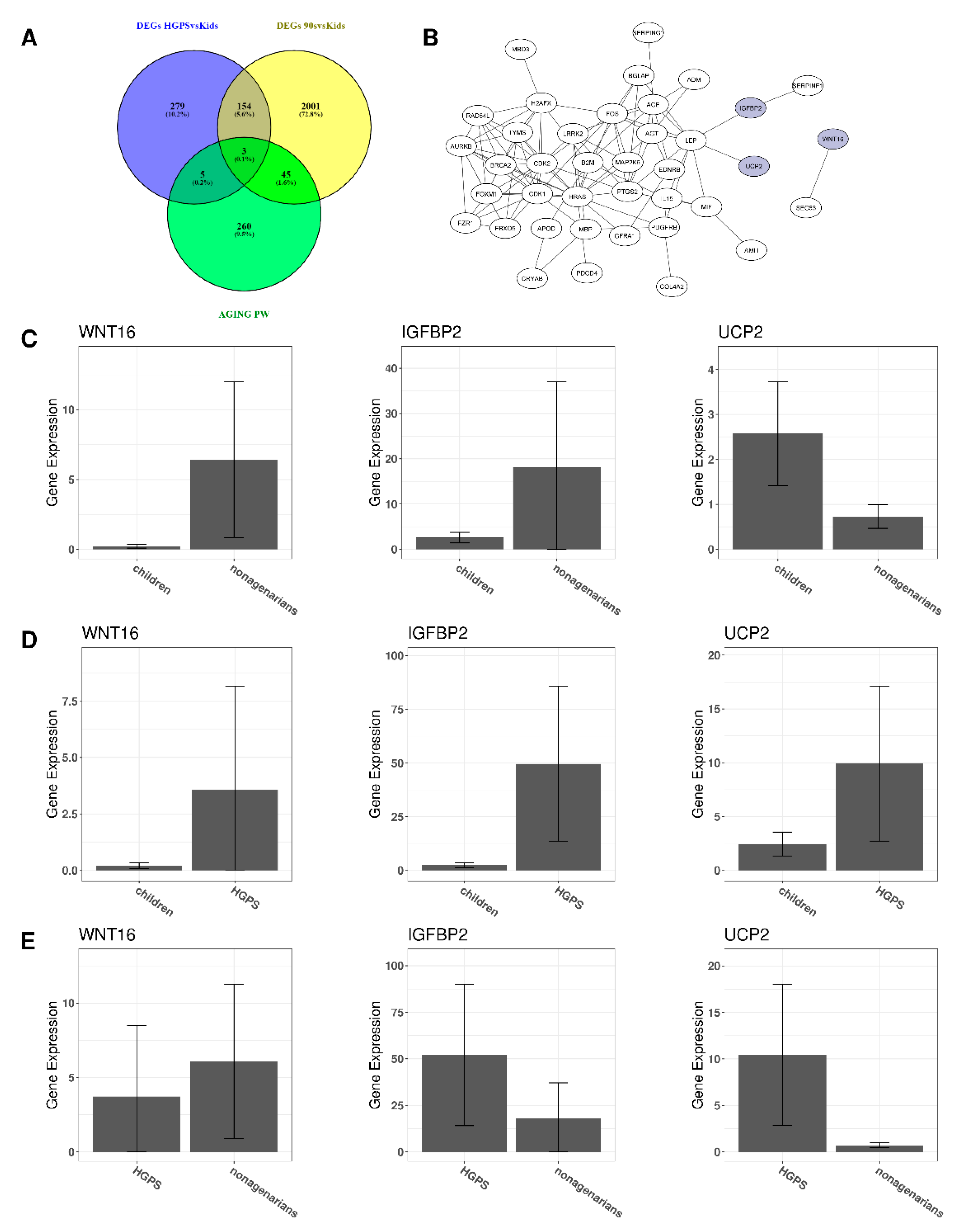 Biomedicines 10 02440 g006