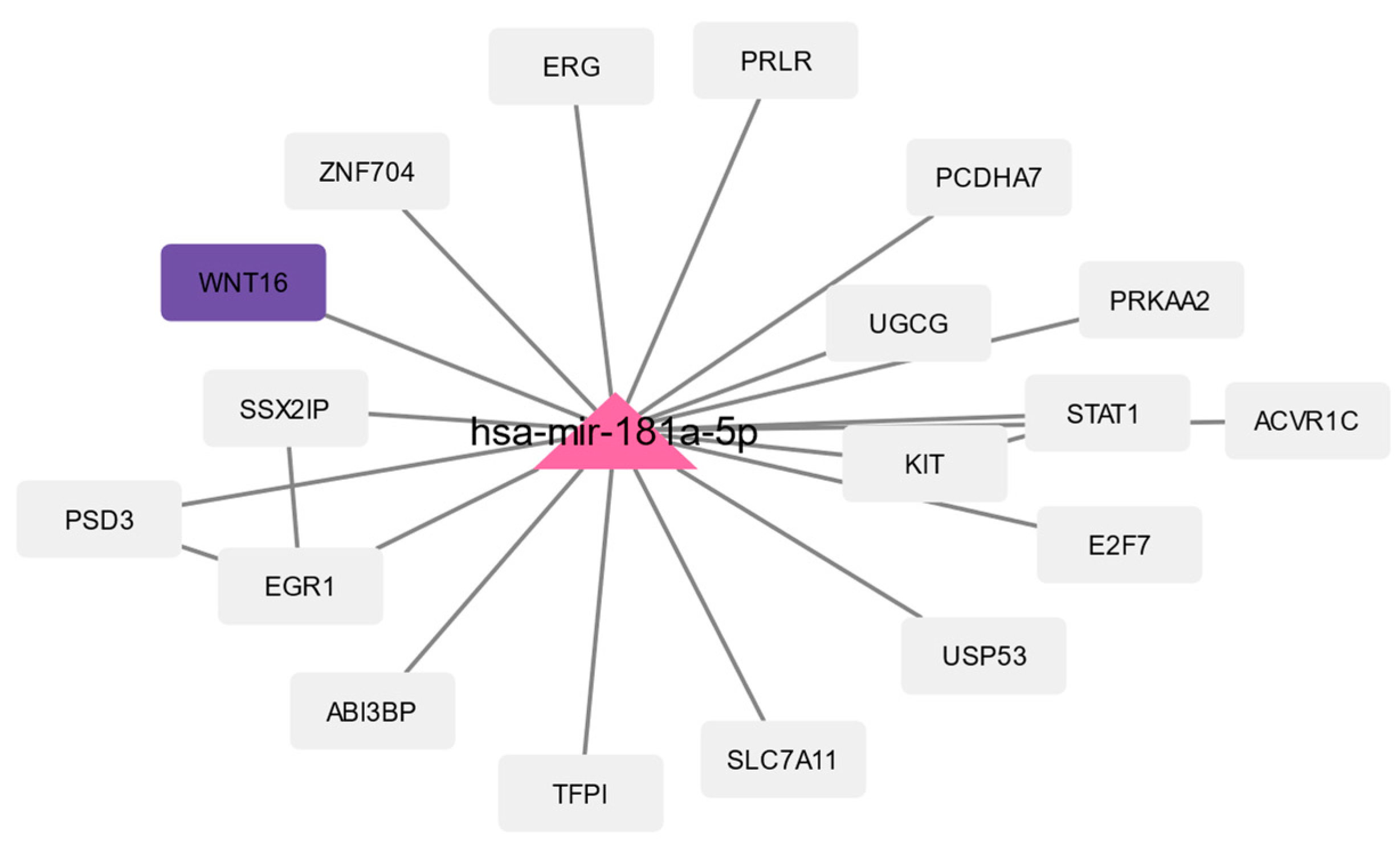 Biomedicines 10 02440 g007