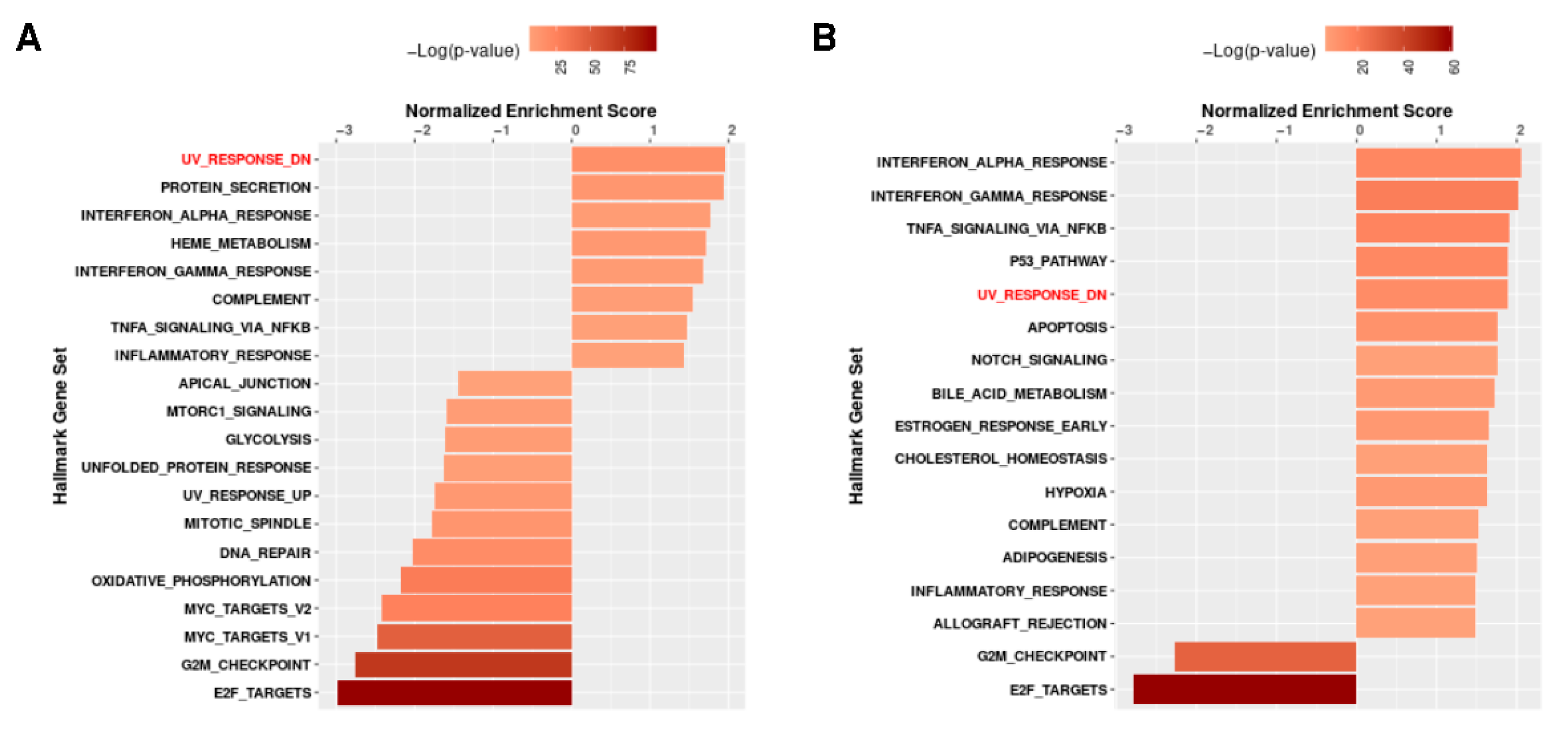 Biomedicines 10 02440 g010