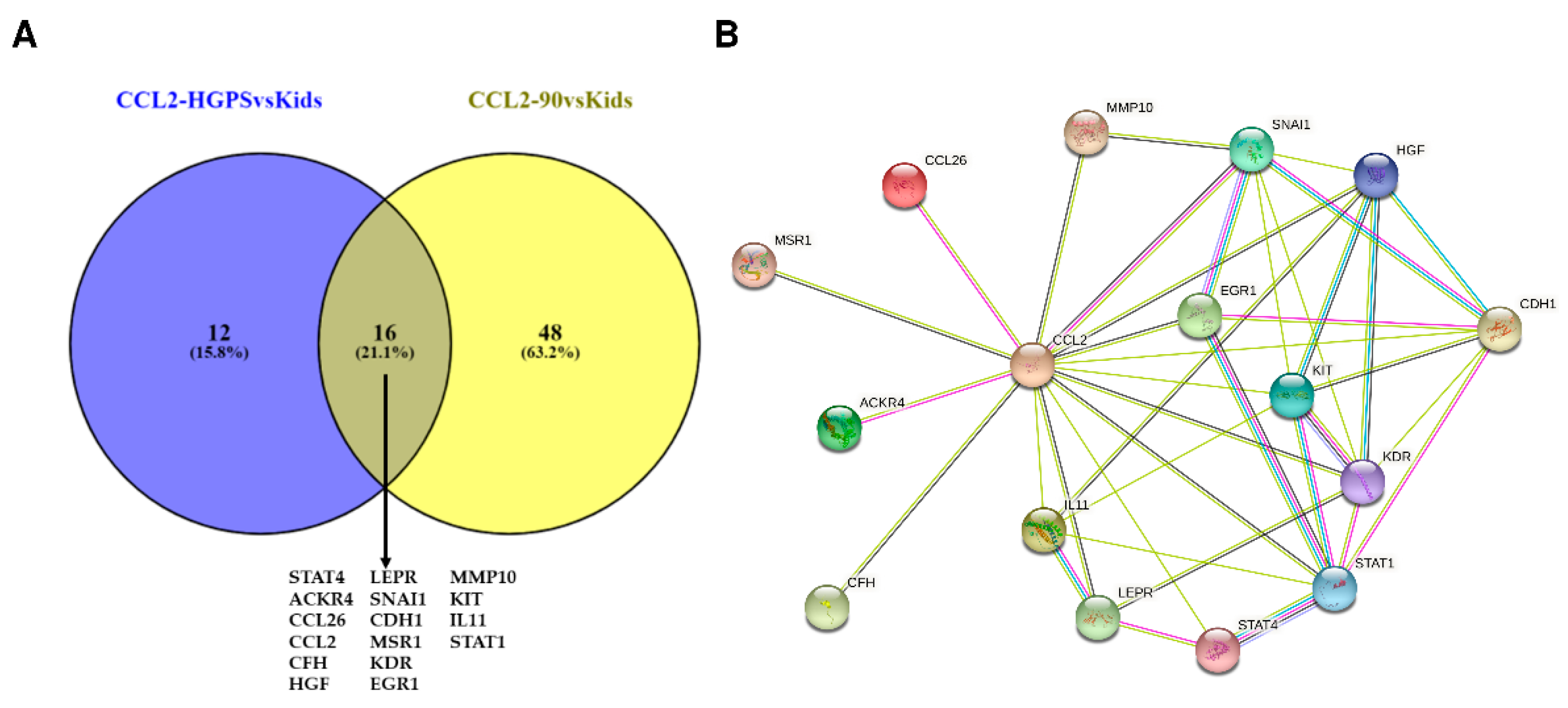 Biomedicines 10 02440 g013