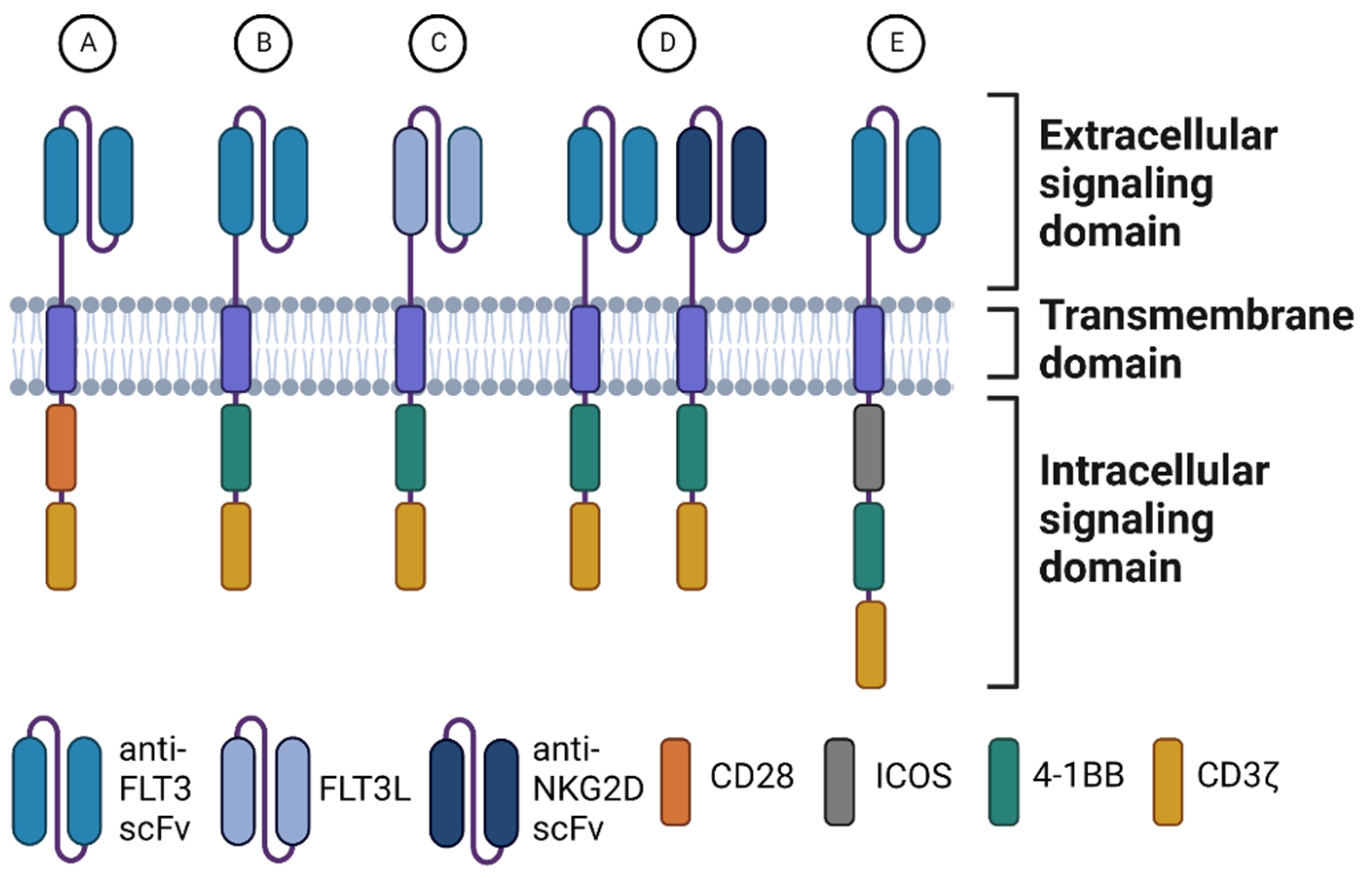 Biomedicines 10 02441 g001
