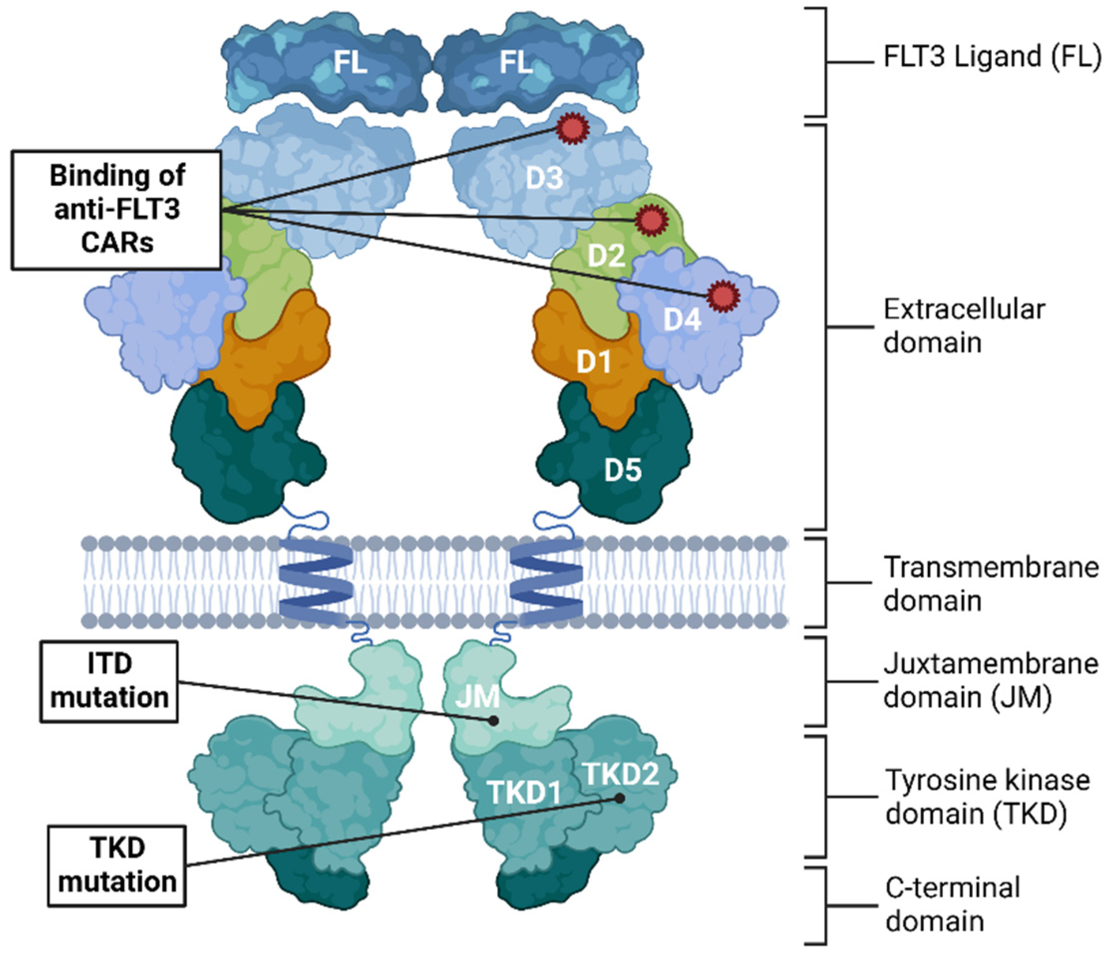 Biomedicines 10 02441 g002