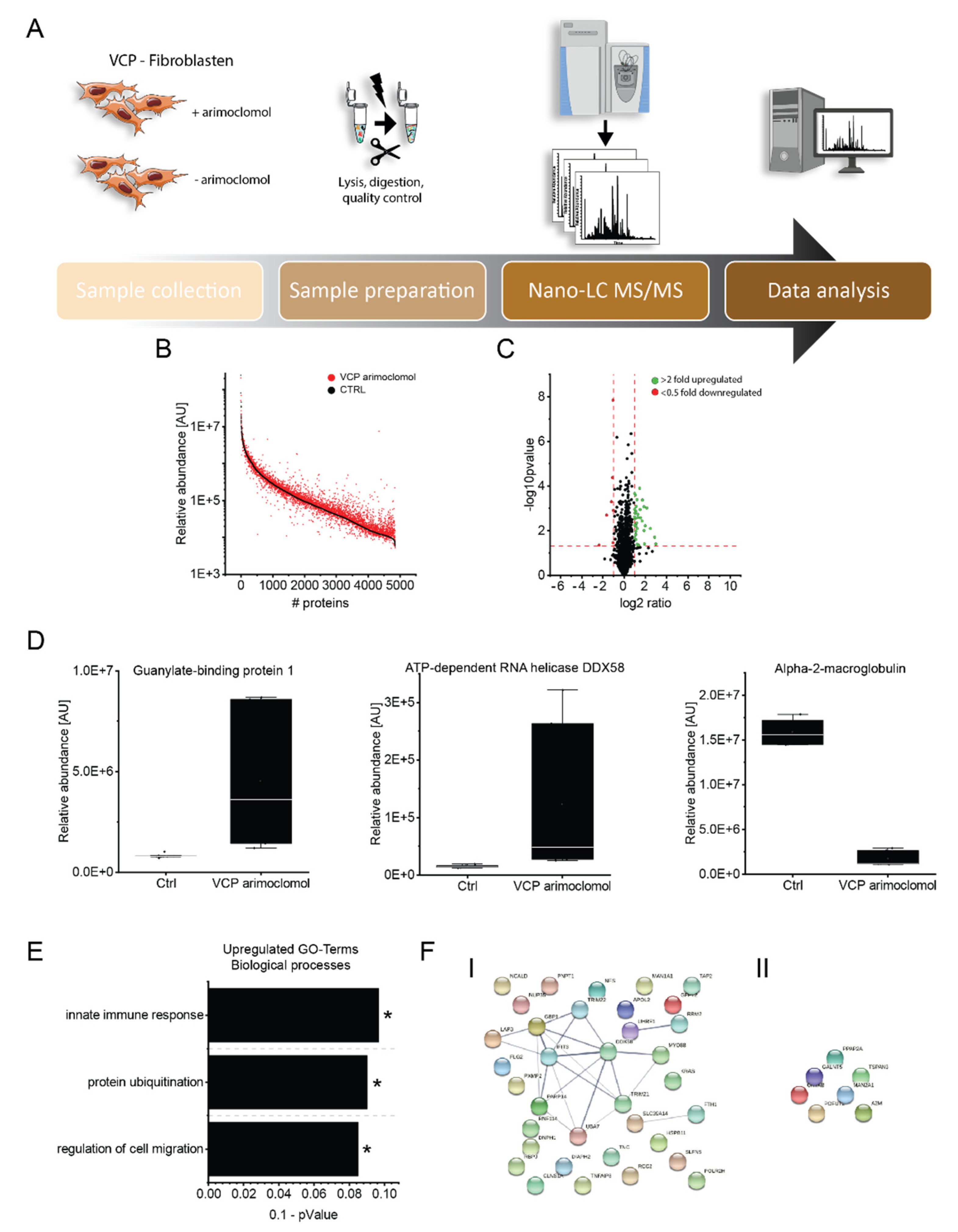 Biomedicines 10 02443 g004