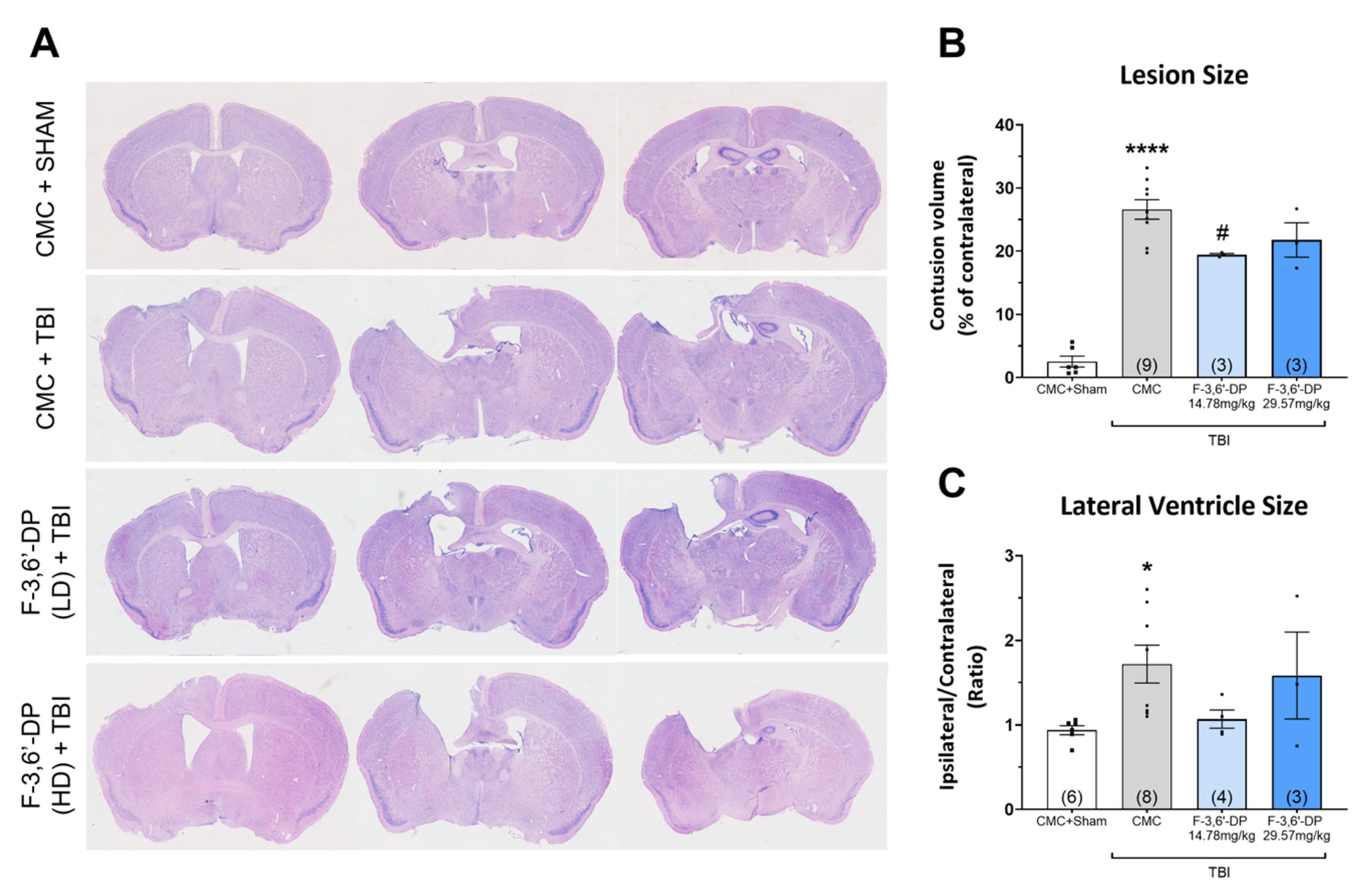 Biomedicines 10 02449 g003