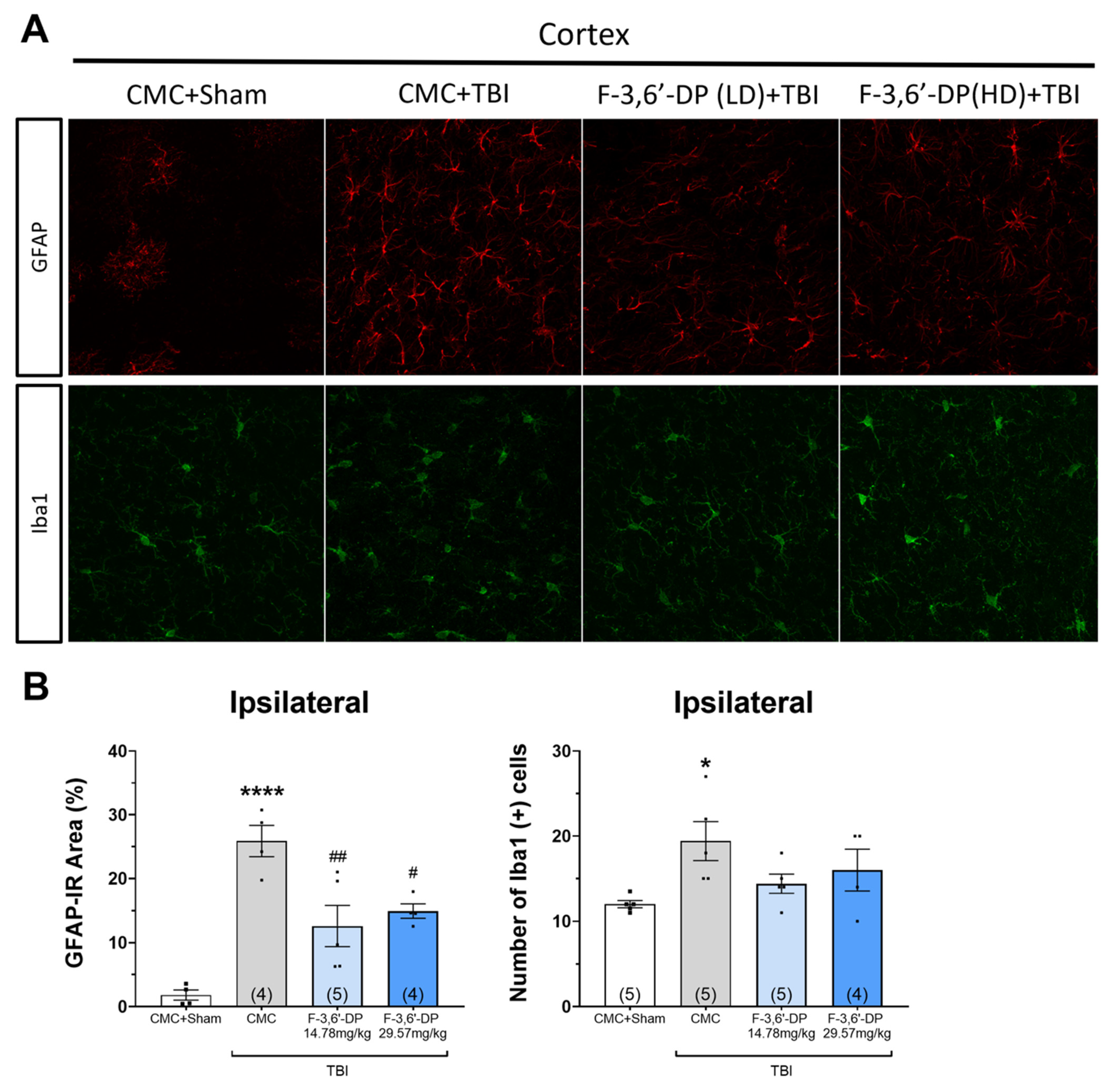 Biomedicines 10 02449 g006