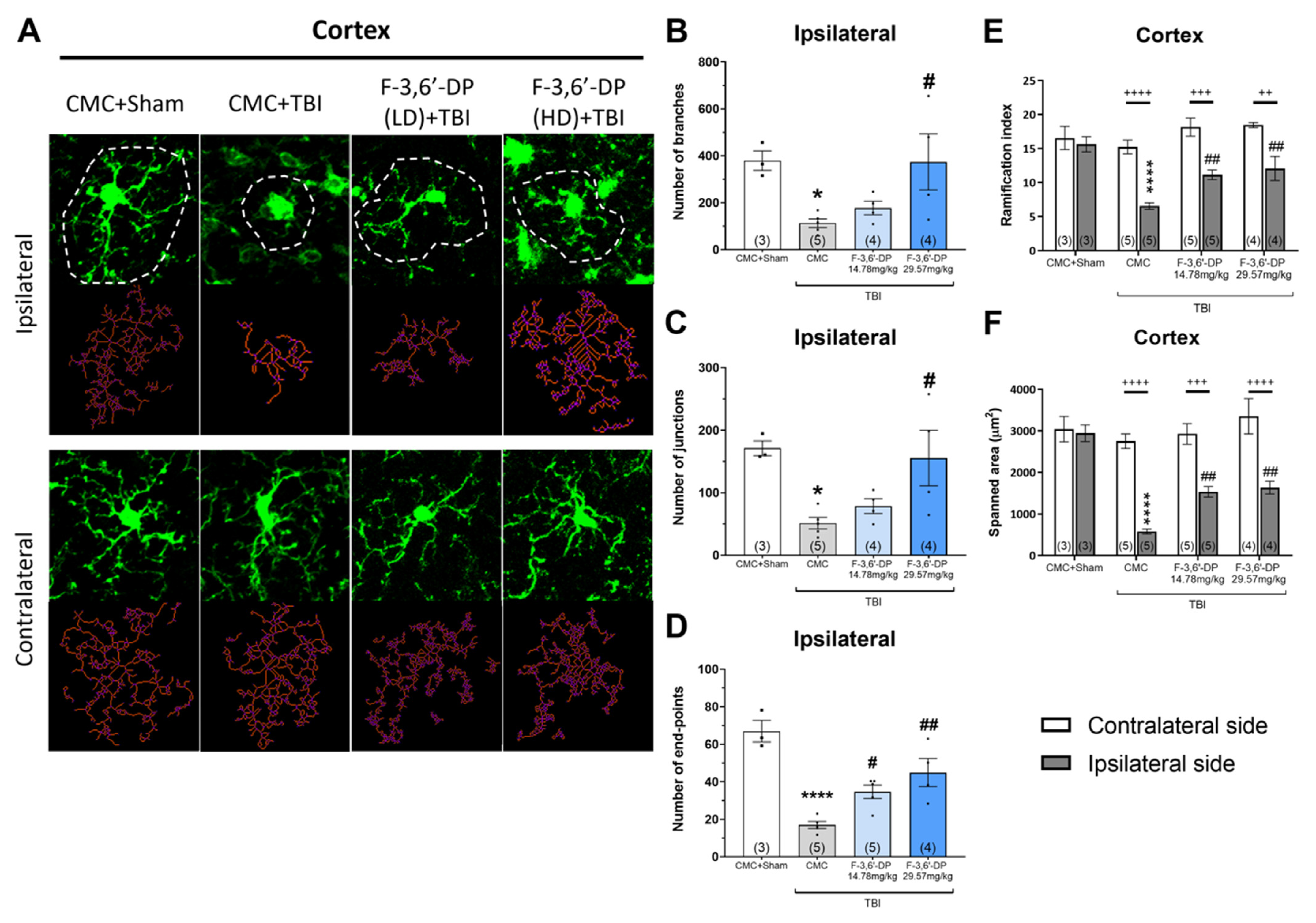 Biomedicines | Free Full-Text | Activity of a Novel Anti 
