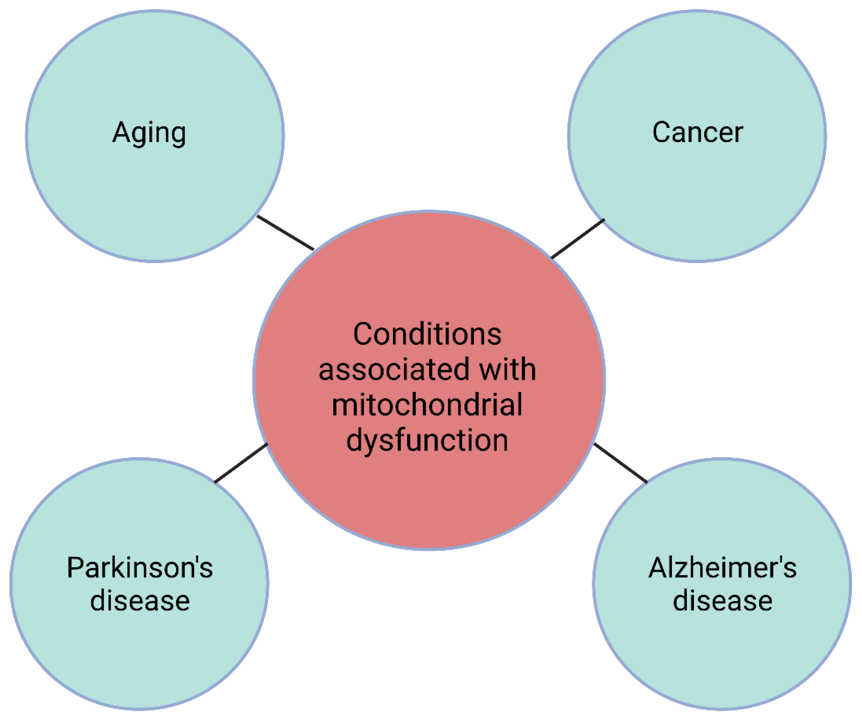 Biomedicines 10 02459 g004