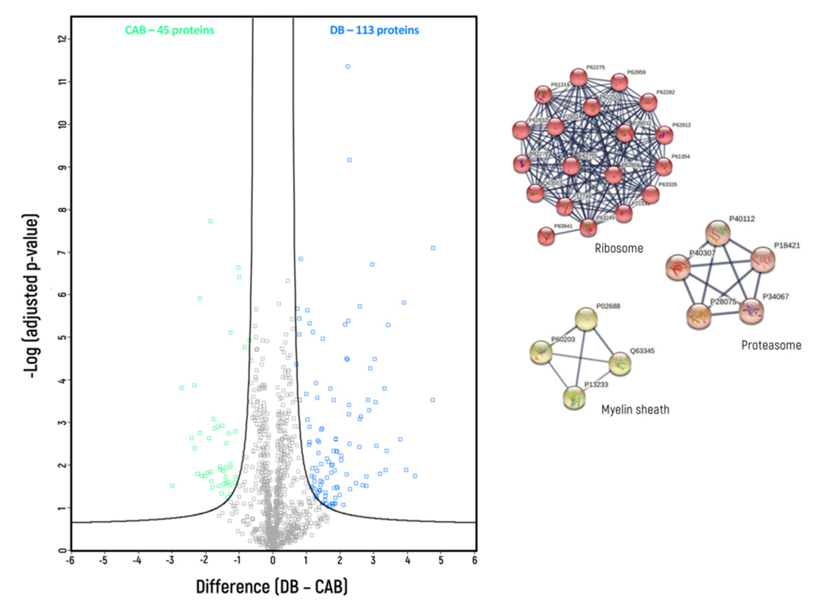 Biomedicines 10 02466 g002 Biomedicines 10 02466 g002