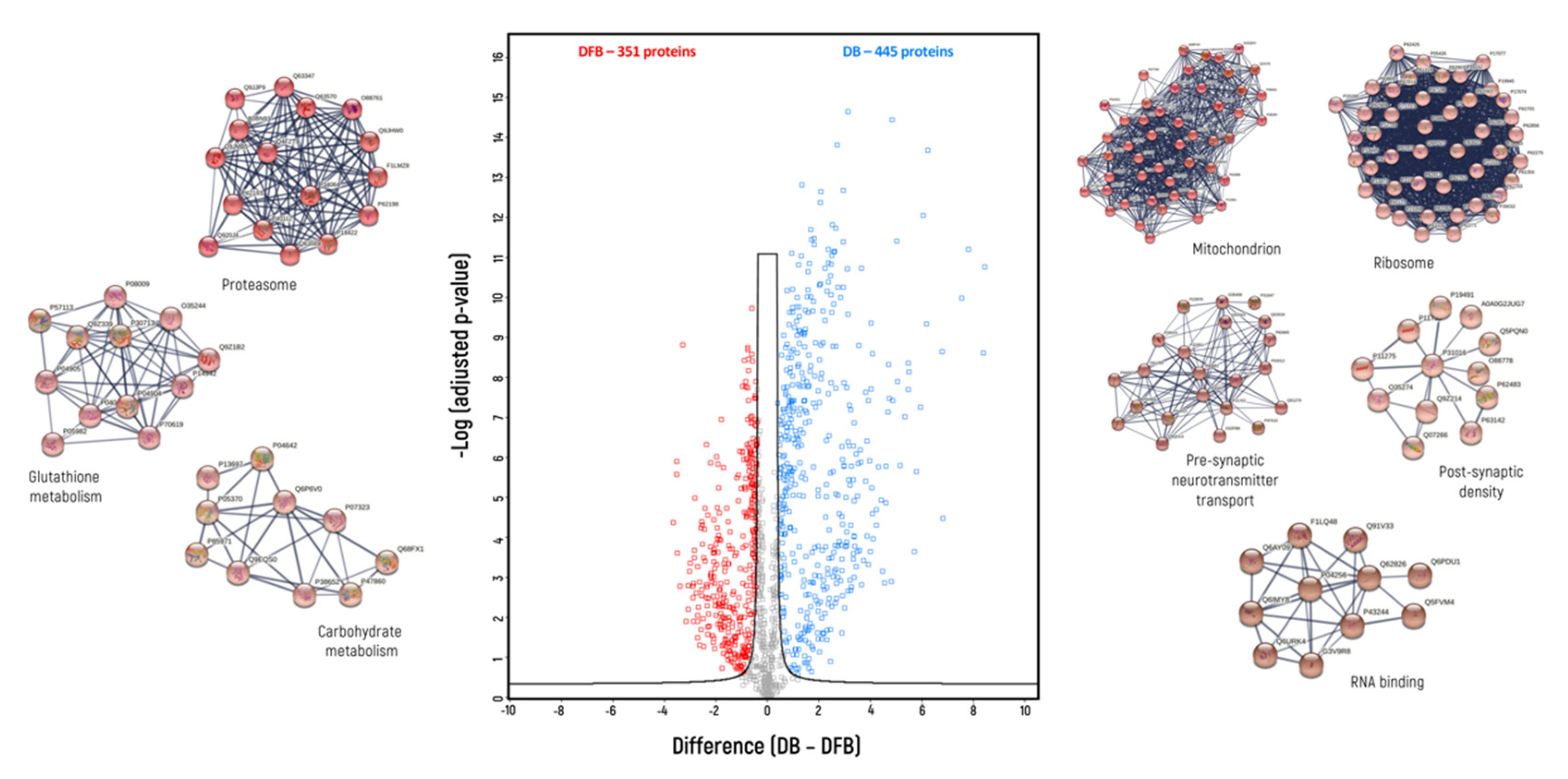 Biomedicines 10 02466 g003 Biomedicines 10 02466 g003