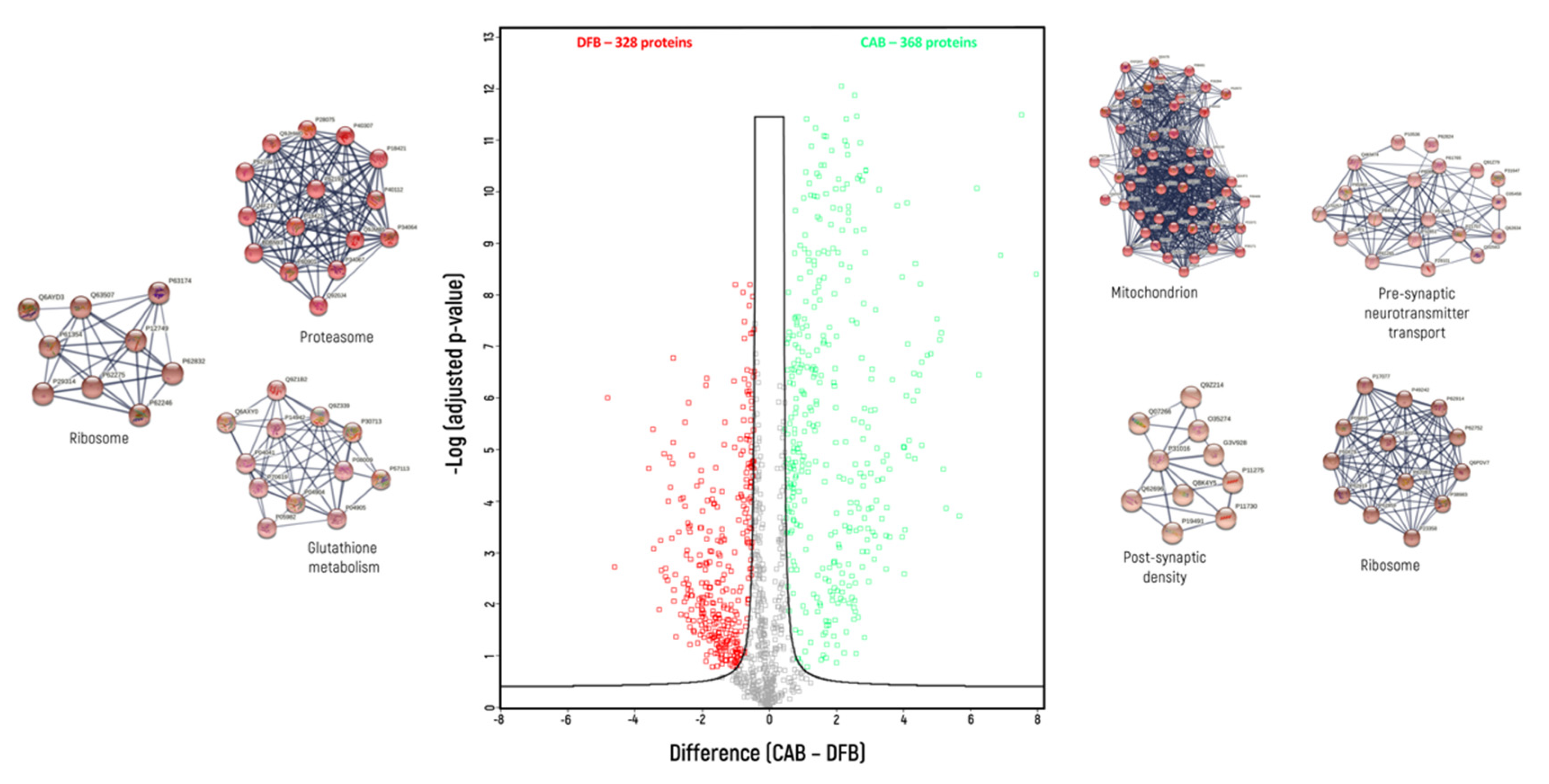 Biomedicines 10 02466 g004 Biomedicines 10 02466 g004