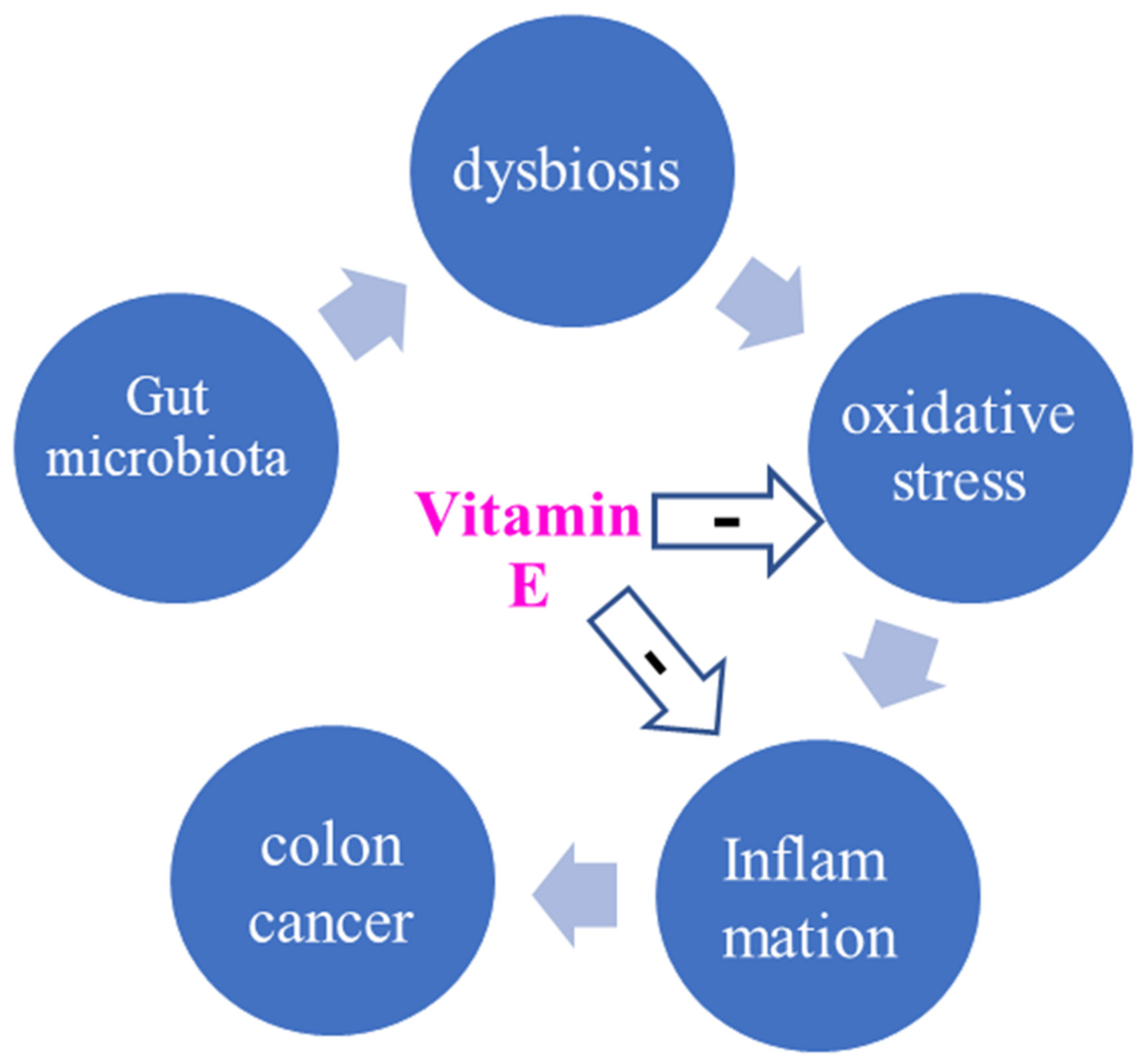 Biomedicines Free FullText Vitamin E and Diseases