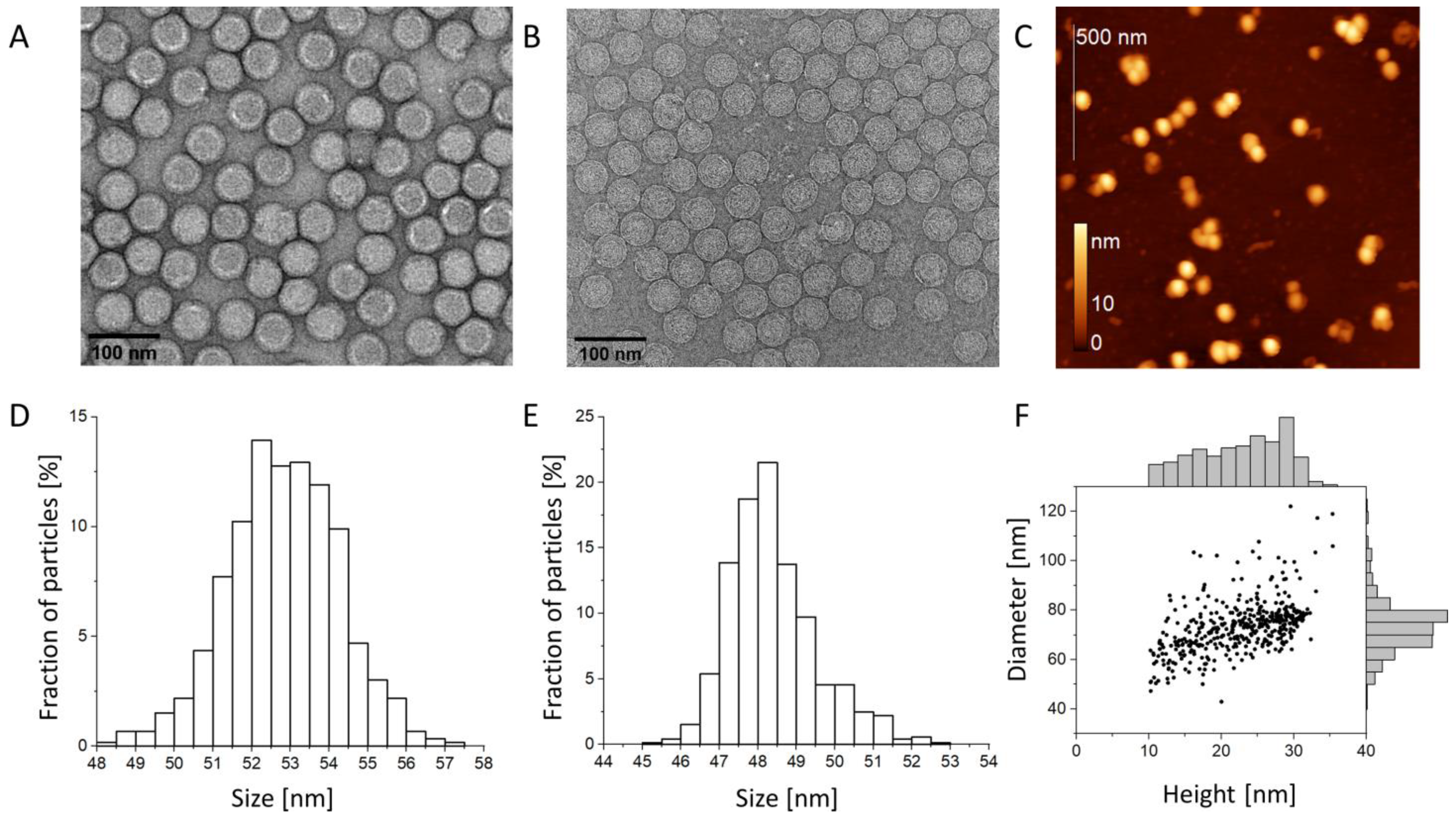 Biomedicines 10 02478 g001