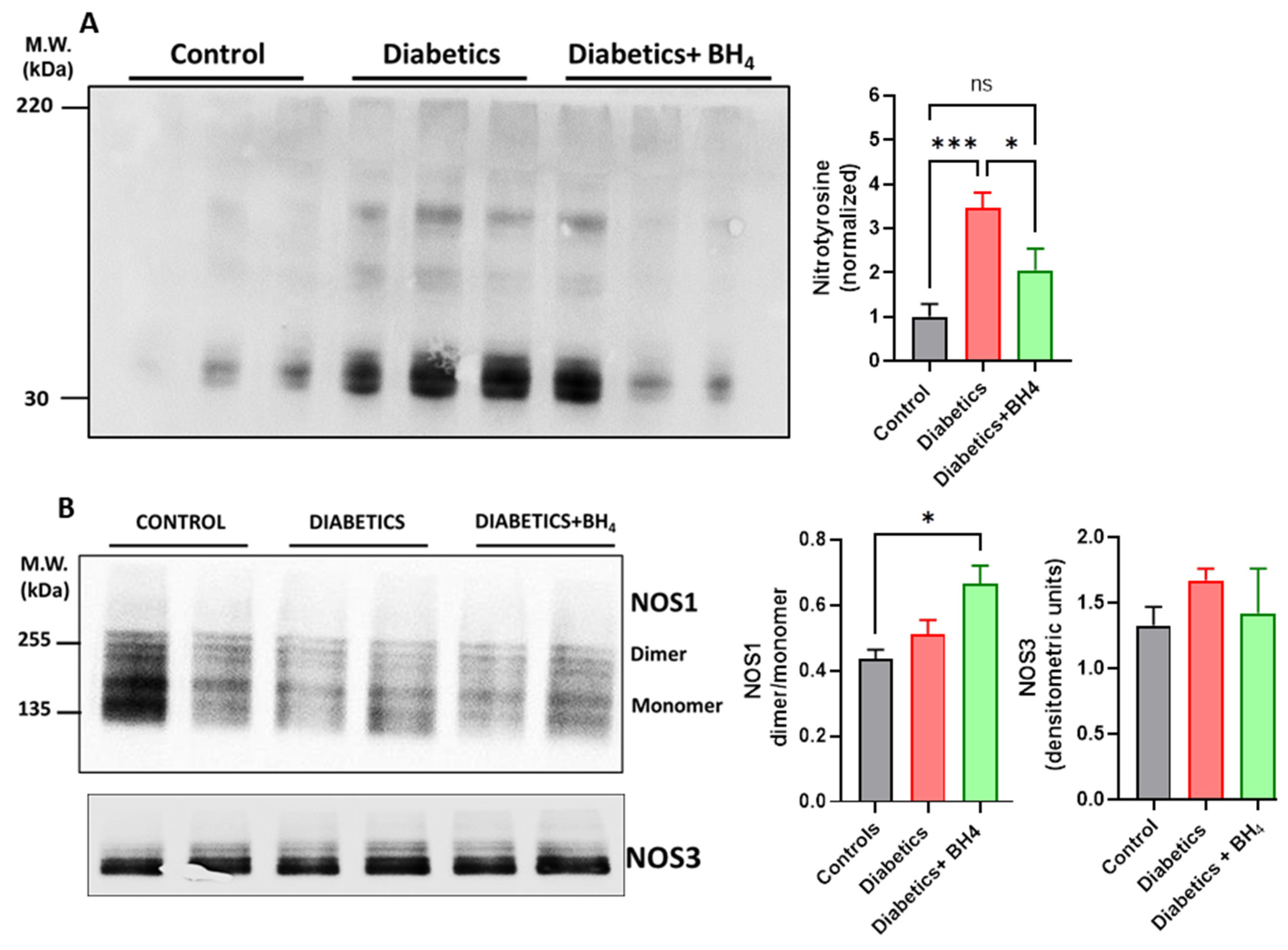 Biomedicines 10 02479 g002 Biomedicines 10 02479 g002