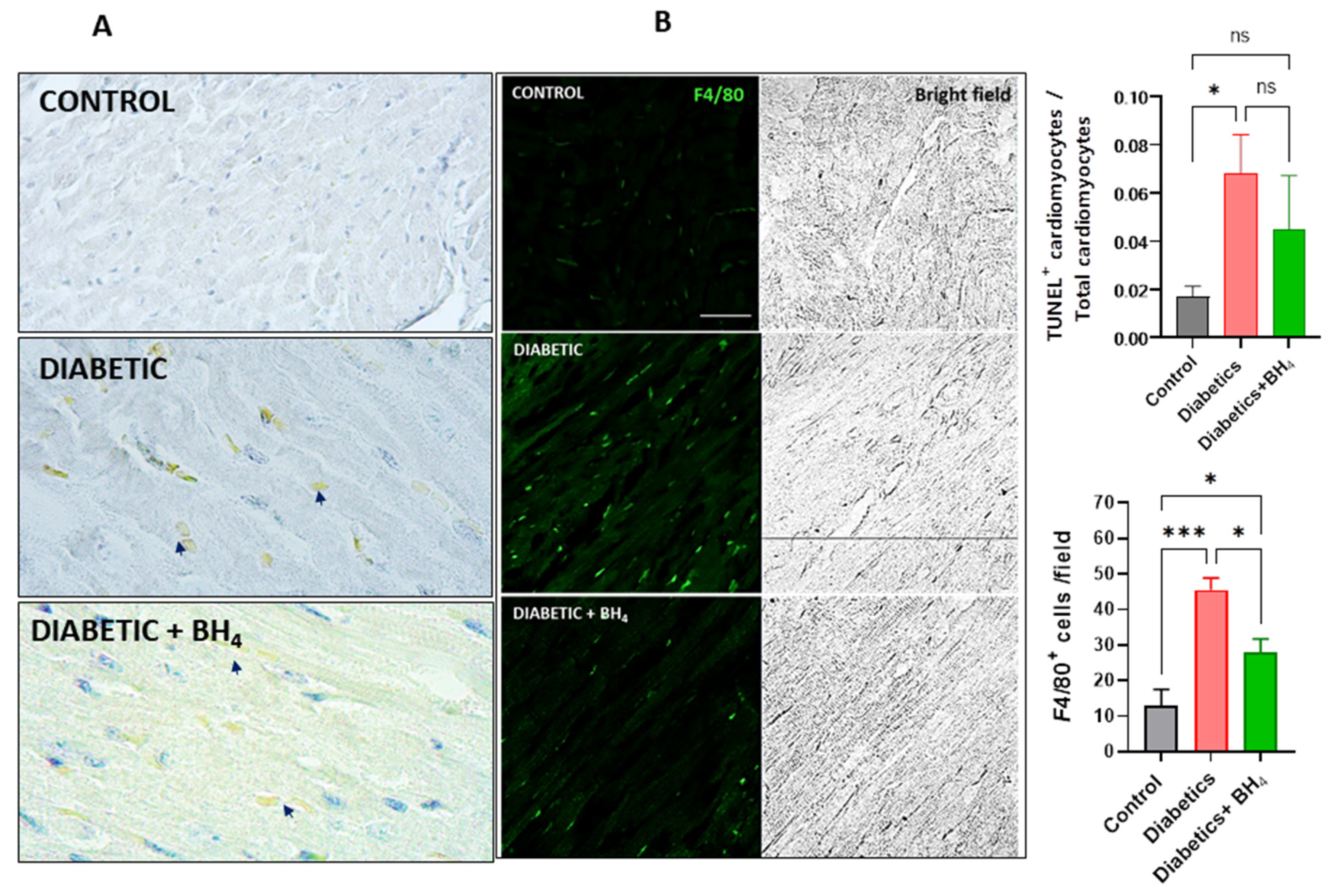 Biomedicines 10 02479 g004 Biomedicines 10 02479 g004