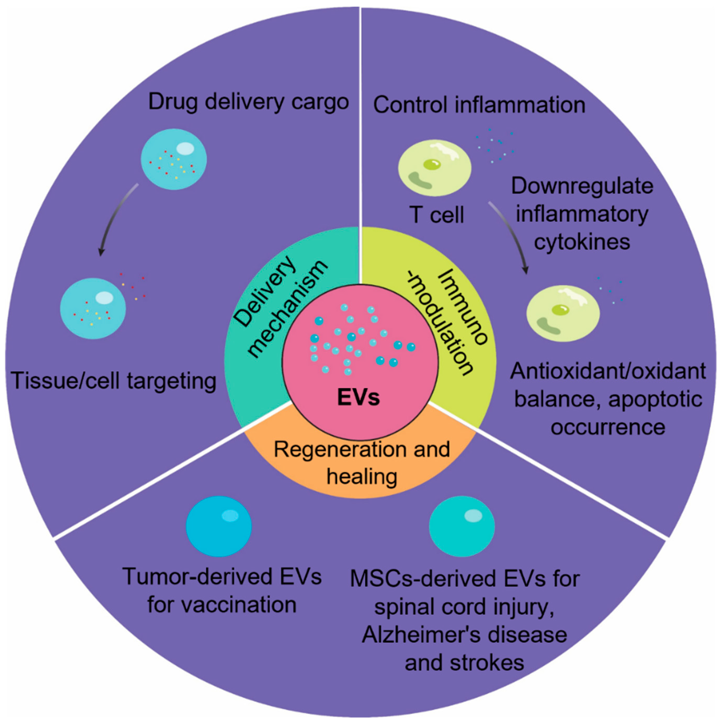 Biomedicines 10 02485 g004