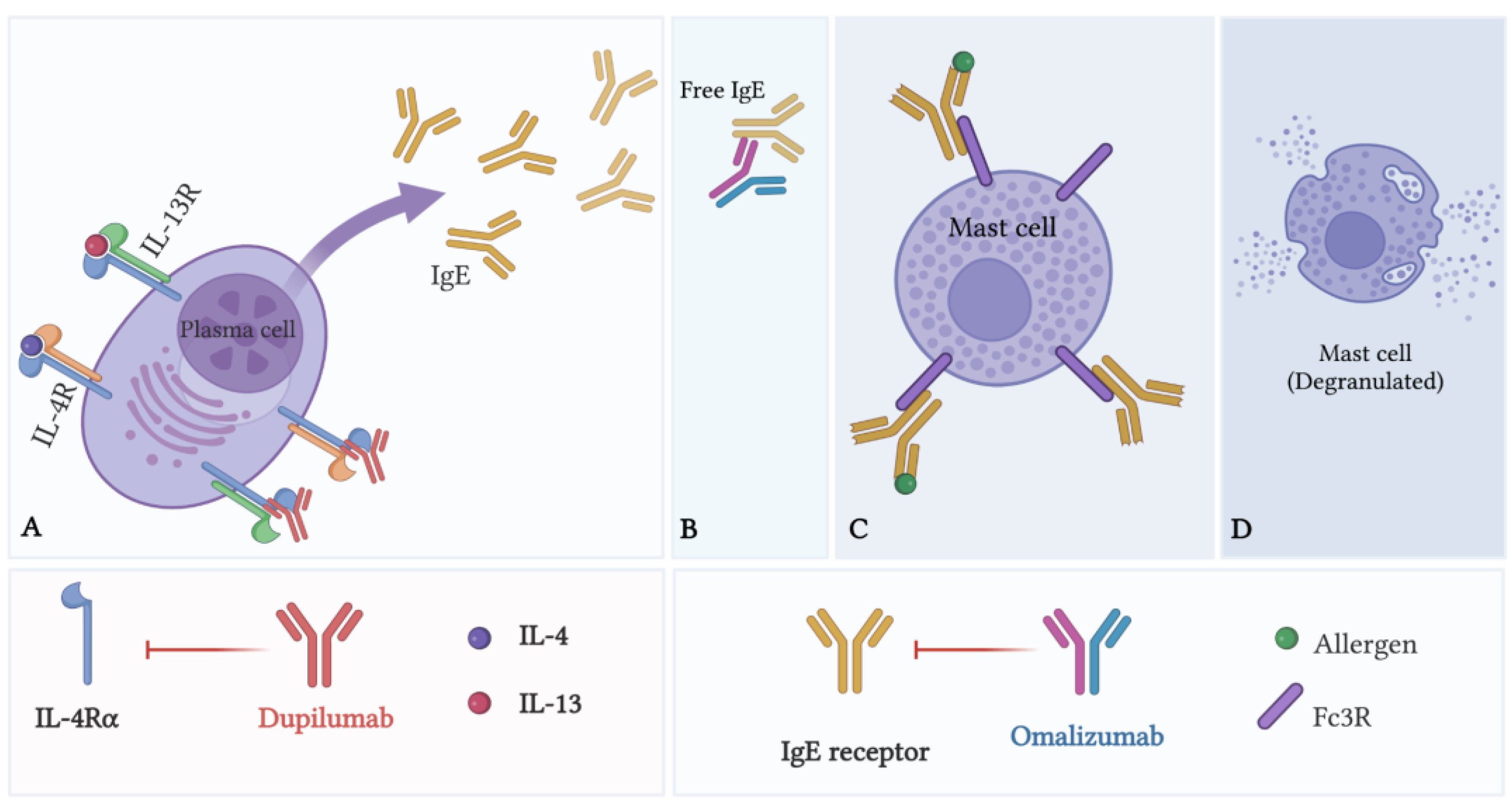 Biomedicines 10 02486 g002 Biomedicines 10 02486 g002
