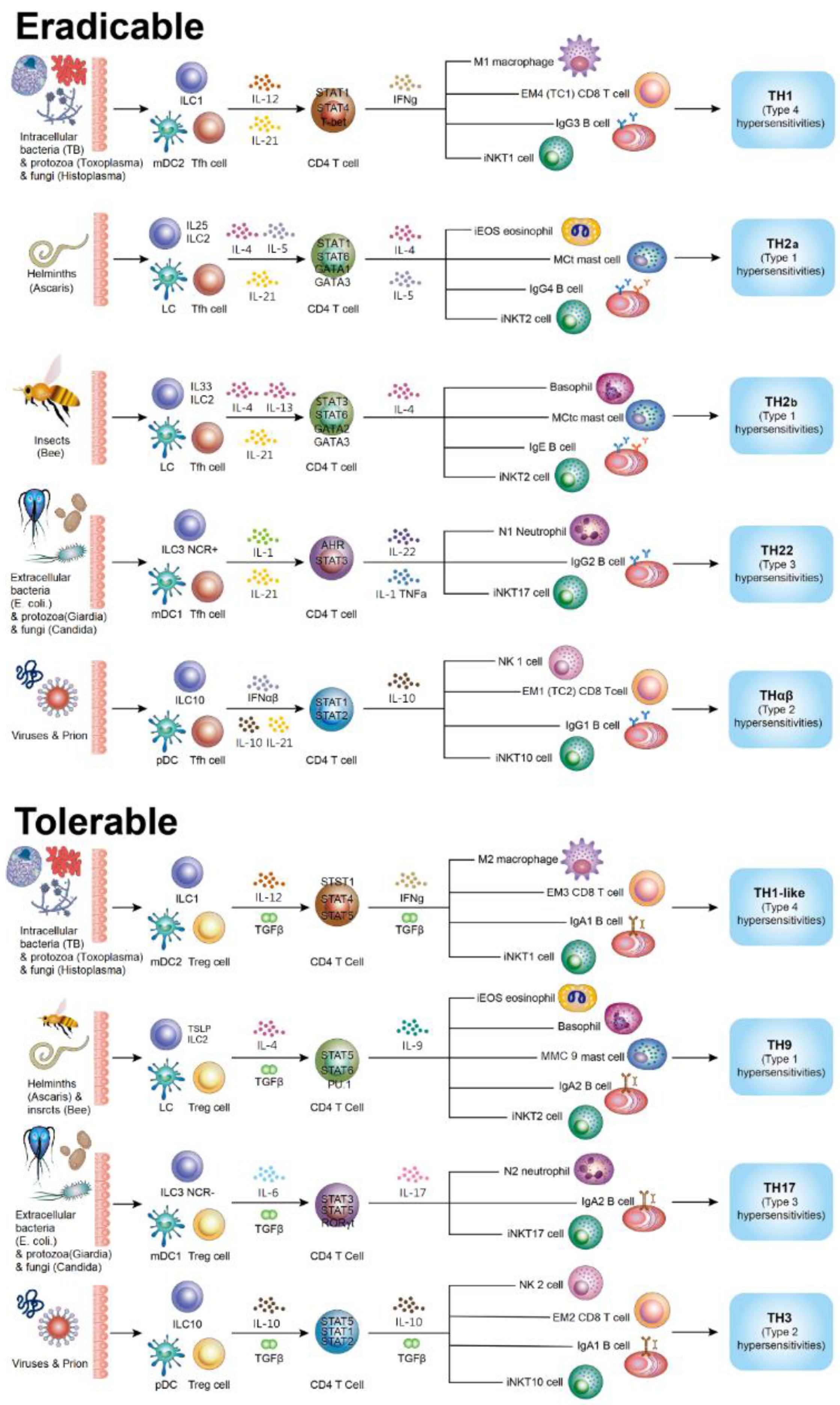 Biomedicines 10 02497 g003