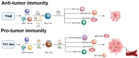 Cancer as a Dysfunctional Immune Disorder: Pro-Tumor TH1-like Immune ...
