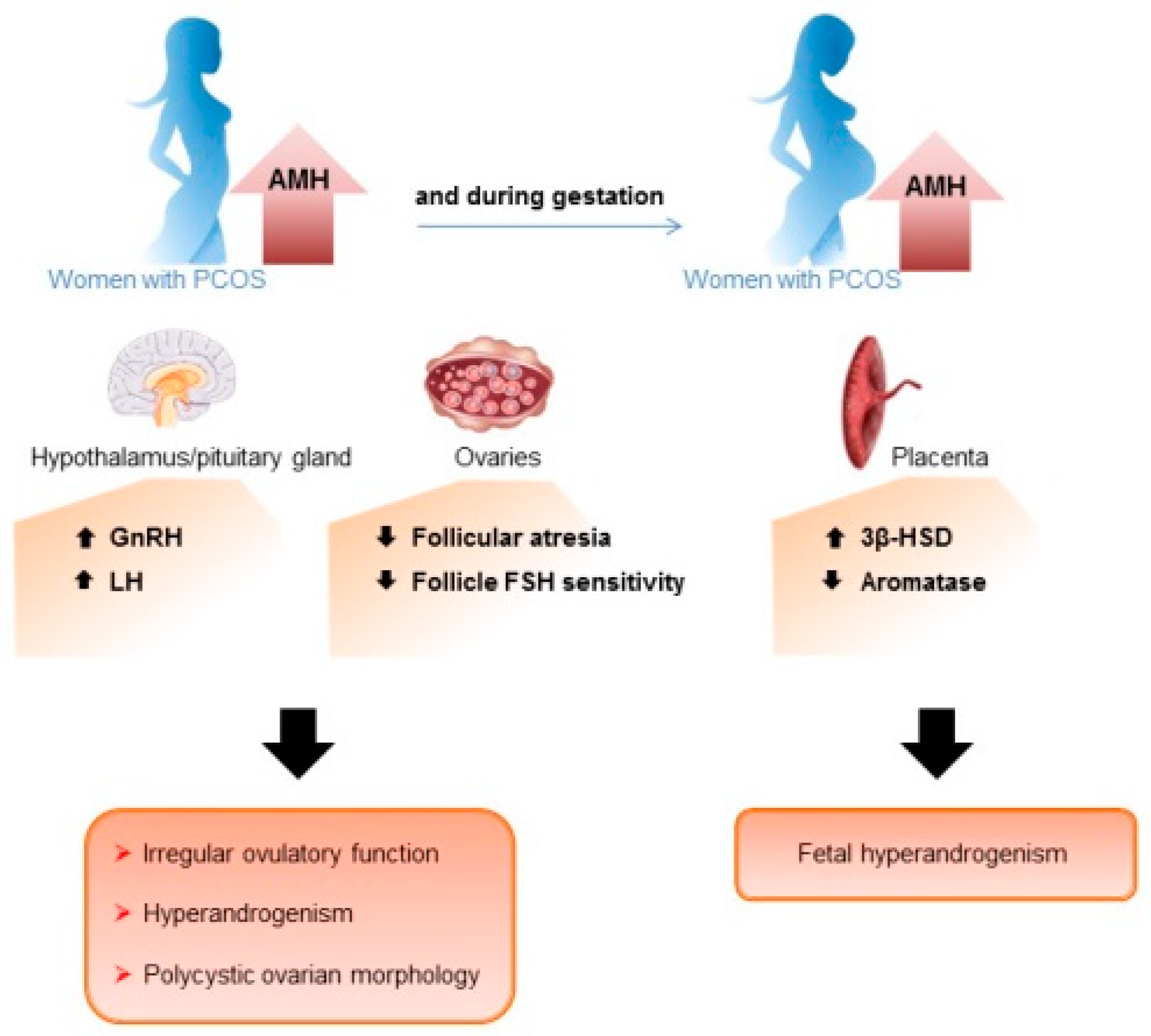 Biomedicines 10 02506 g002