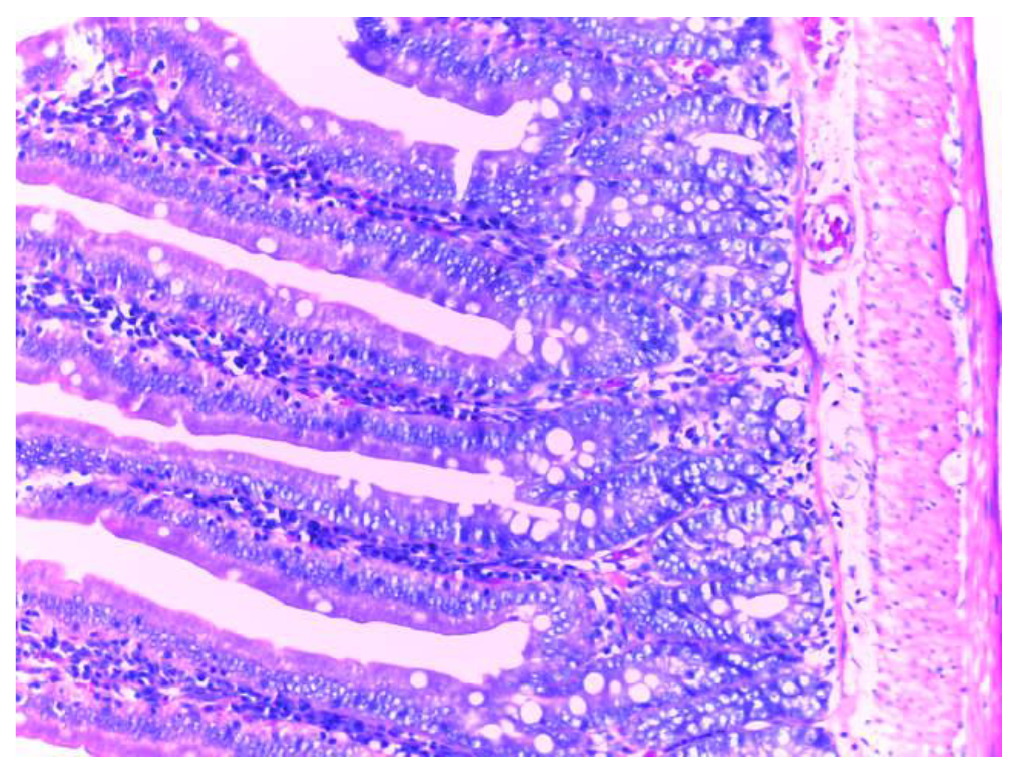 Biomedicines 10 02508 g009