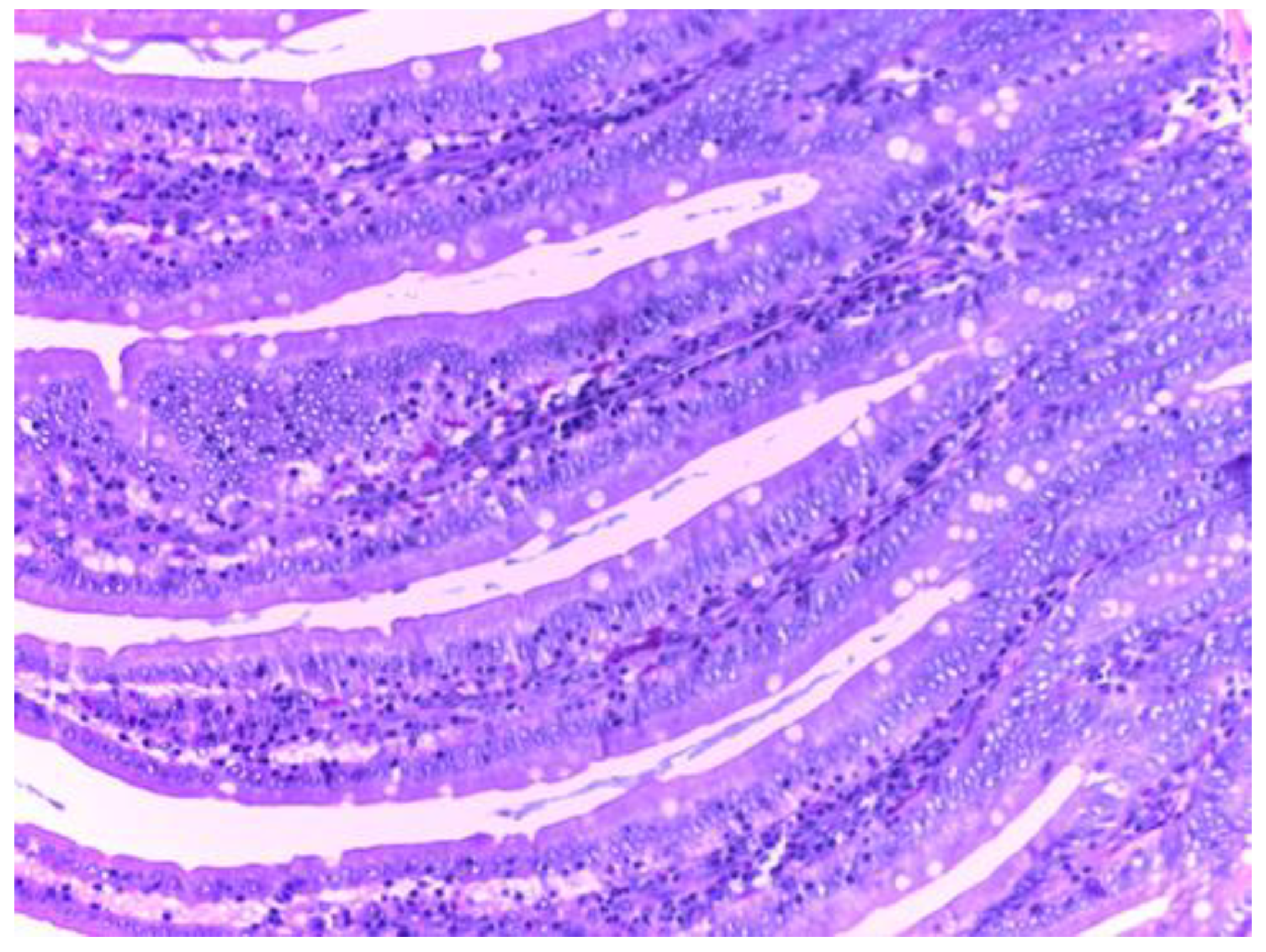 Biomedicines 10 02508 g013