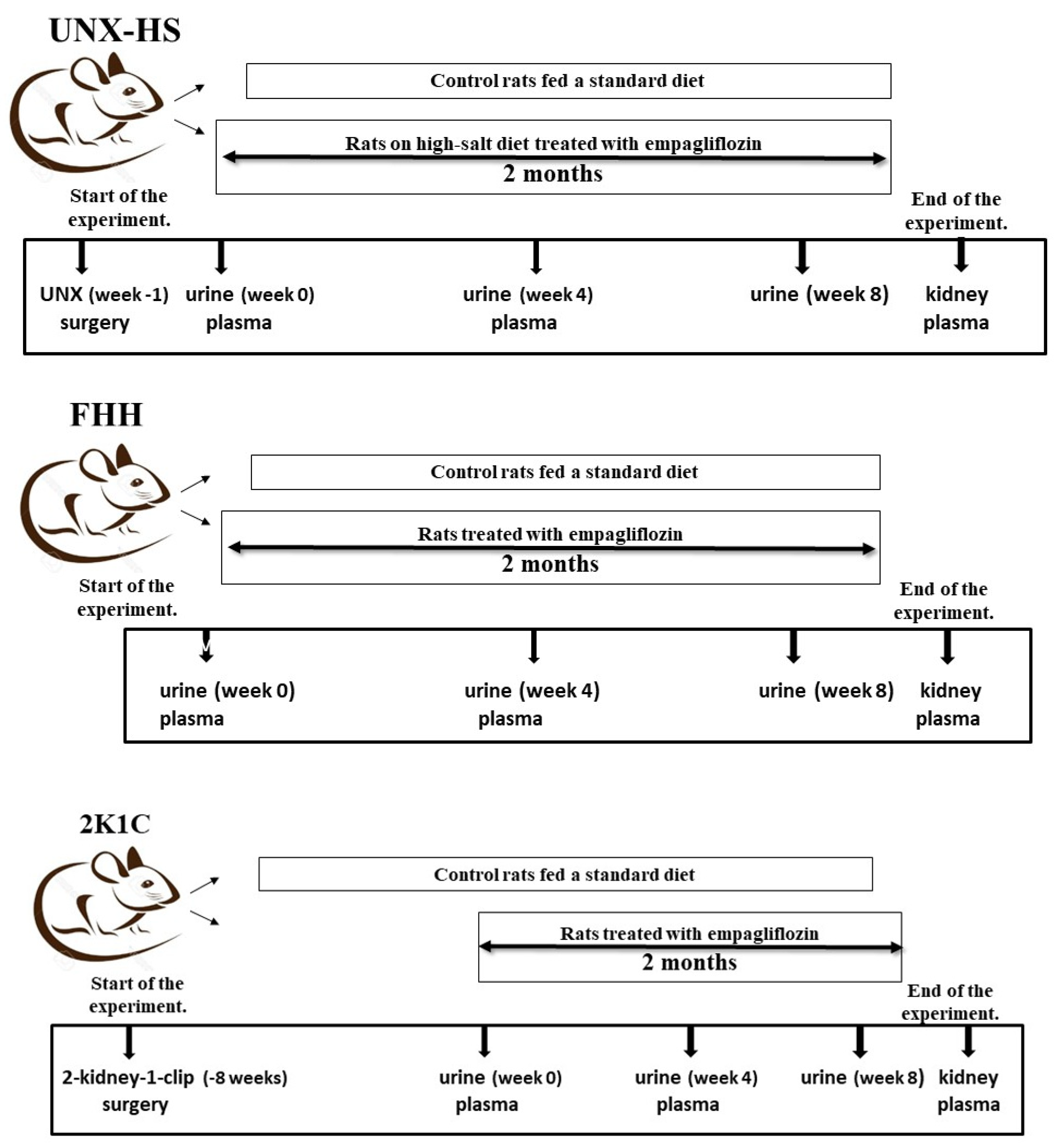 Biomedicines 10 02509 g001 Biomedicines 10 02509 g001